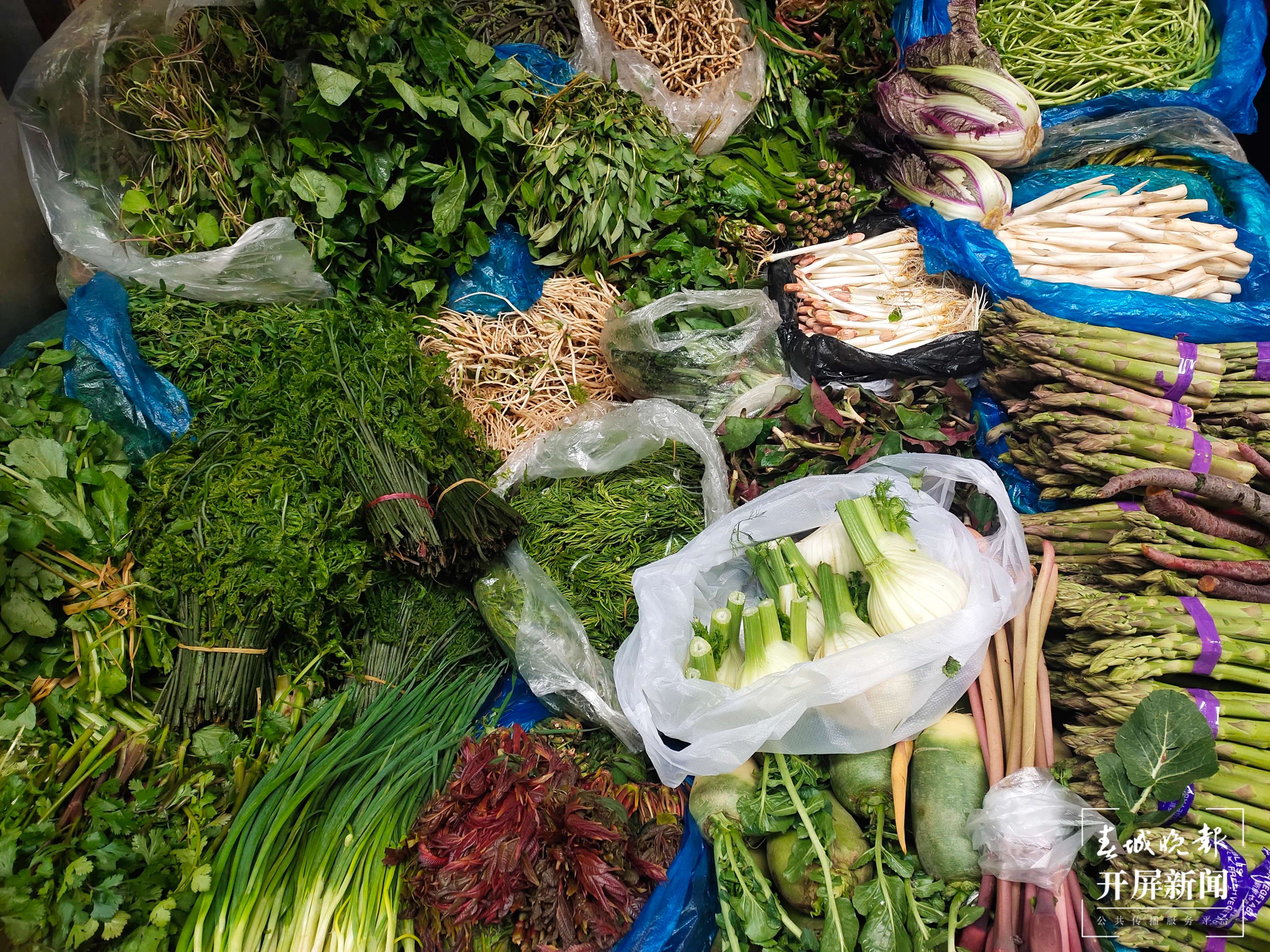 春菜（开屏新闻记者 朱婉琪 孙江荭 摄）