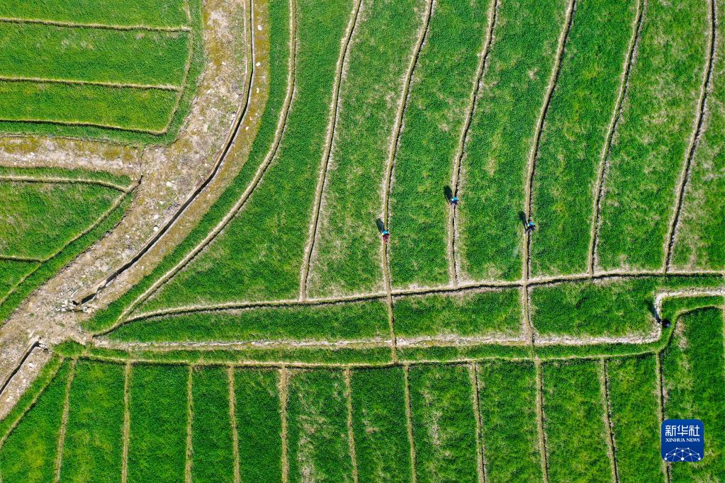 东方春来早 奋斗向未来13.jpg