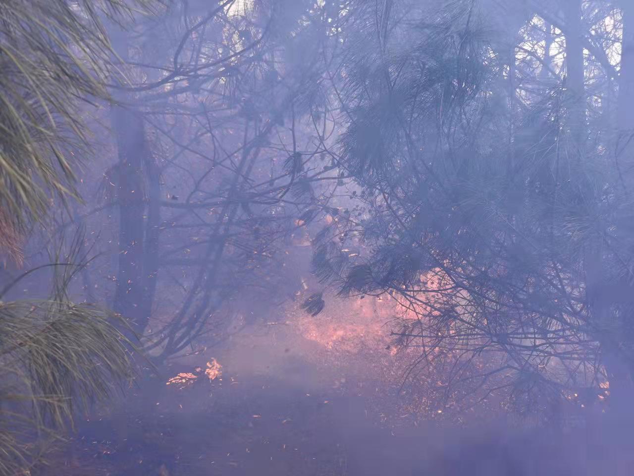 突发！大理市苍山林区发生火灾（嬴光万 陈胜瑶 摄影报道）