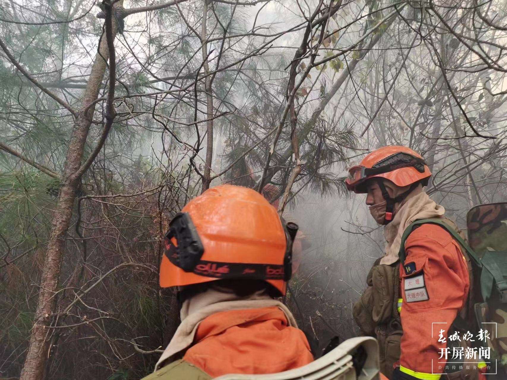 突发！大理市苍山林区发生火灾（嬴光万 陈胜瑶 摄影报道）