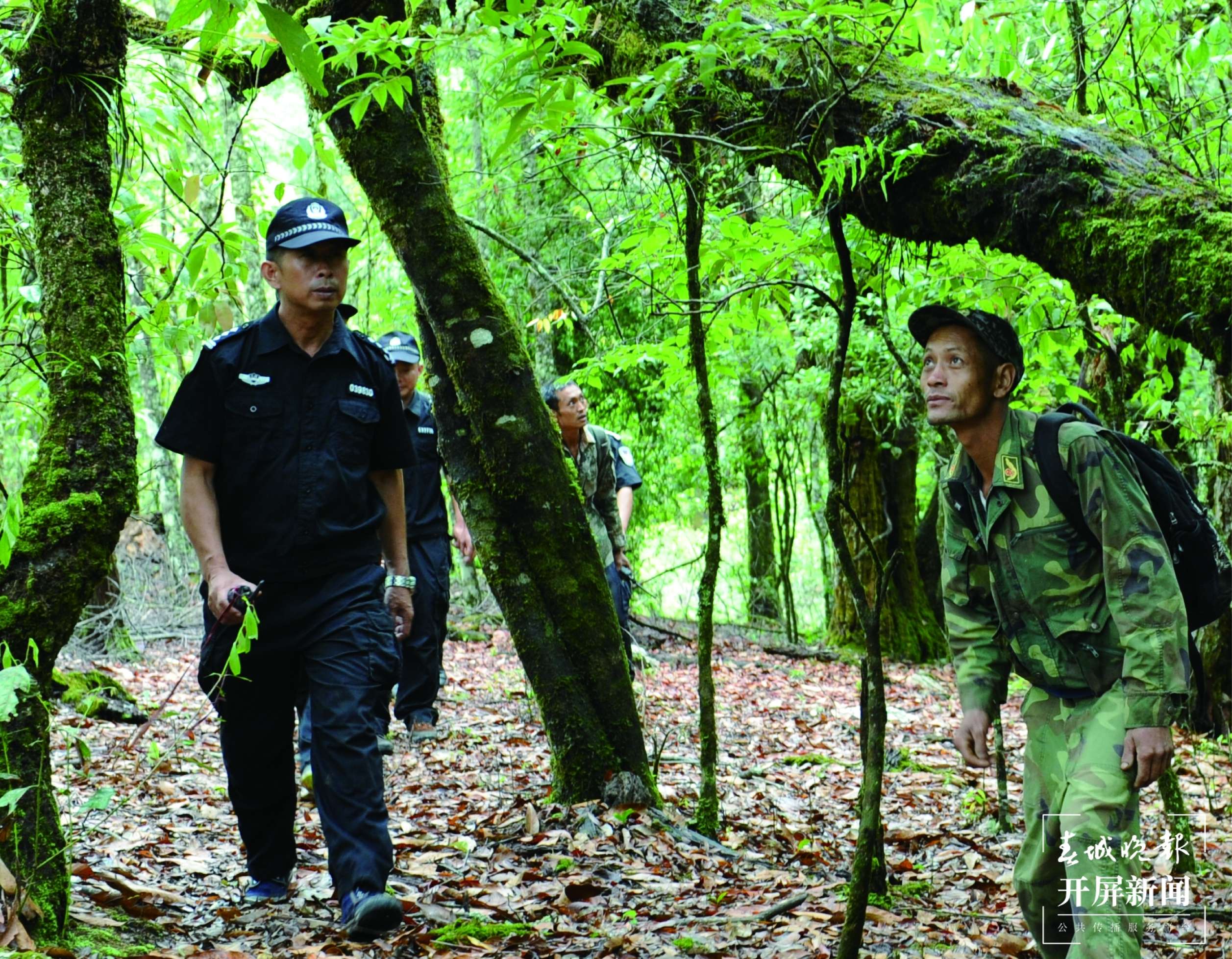 云南公安五场战役严打这几类犯罪 云南省公安厅供图