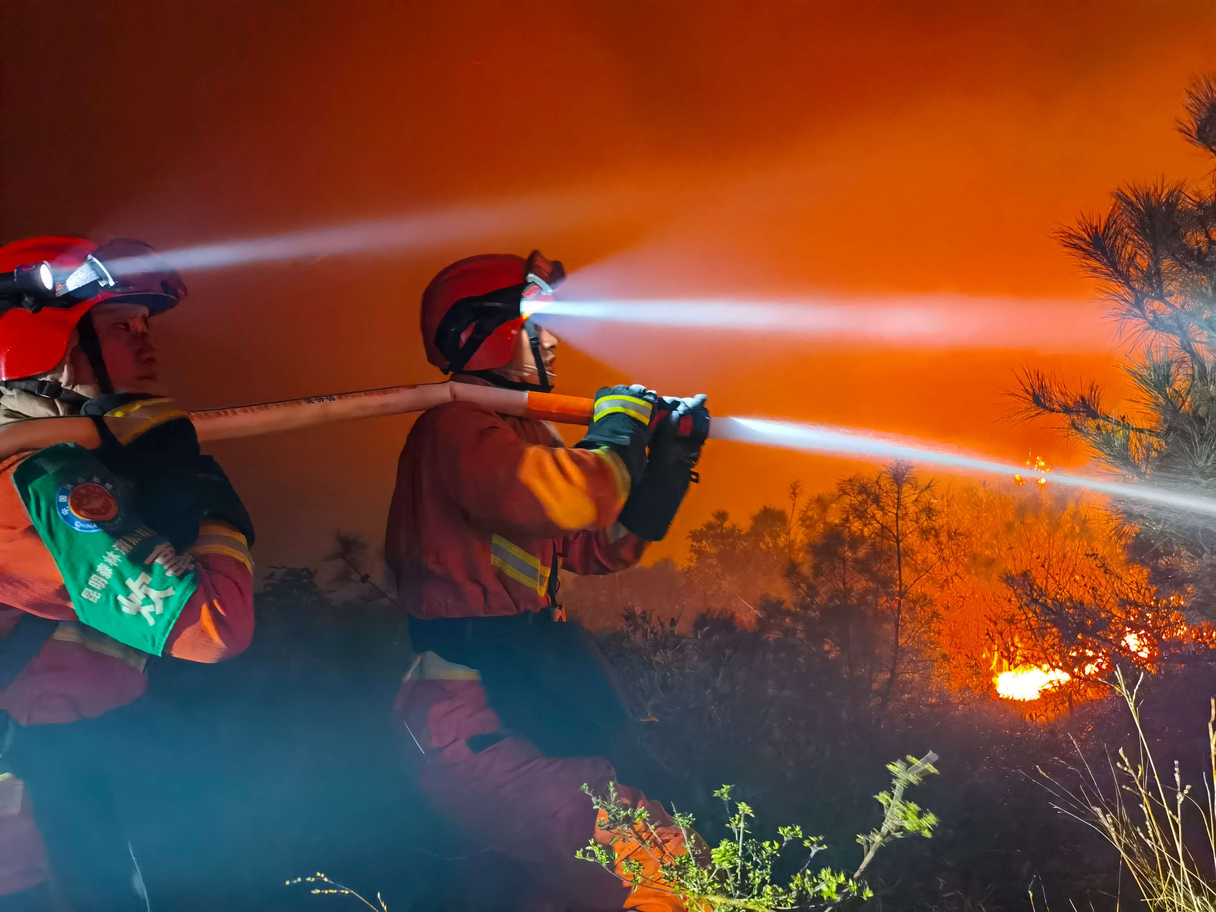 昆明市森林消防支队星夜驰援，整夜未休扑救大理市凤仪镇富成村森林火灾！（）