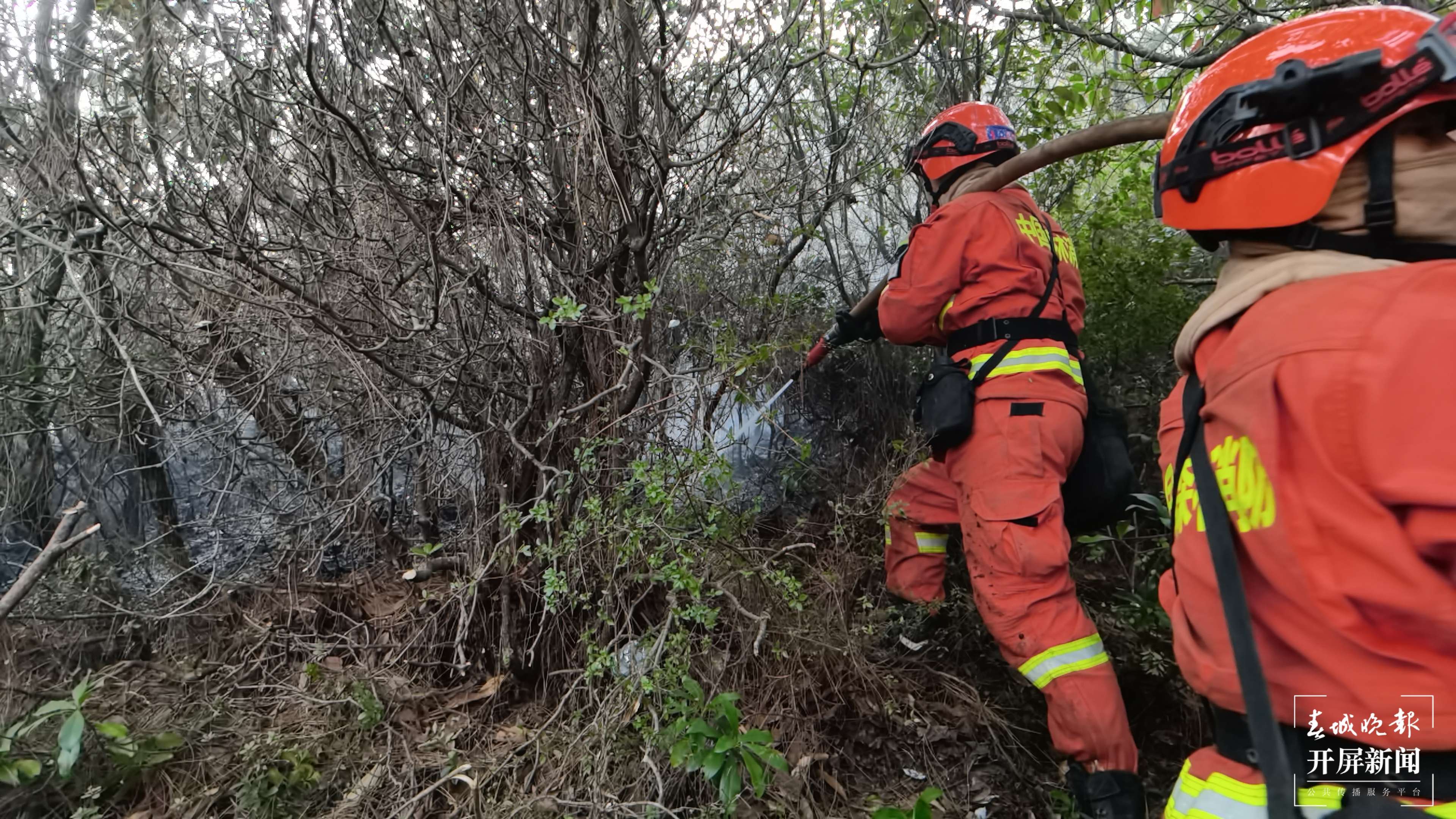 大理凤仪火场东线、南线已基本得到控制
