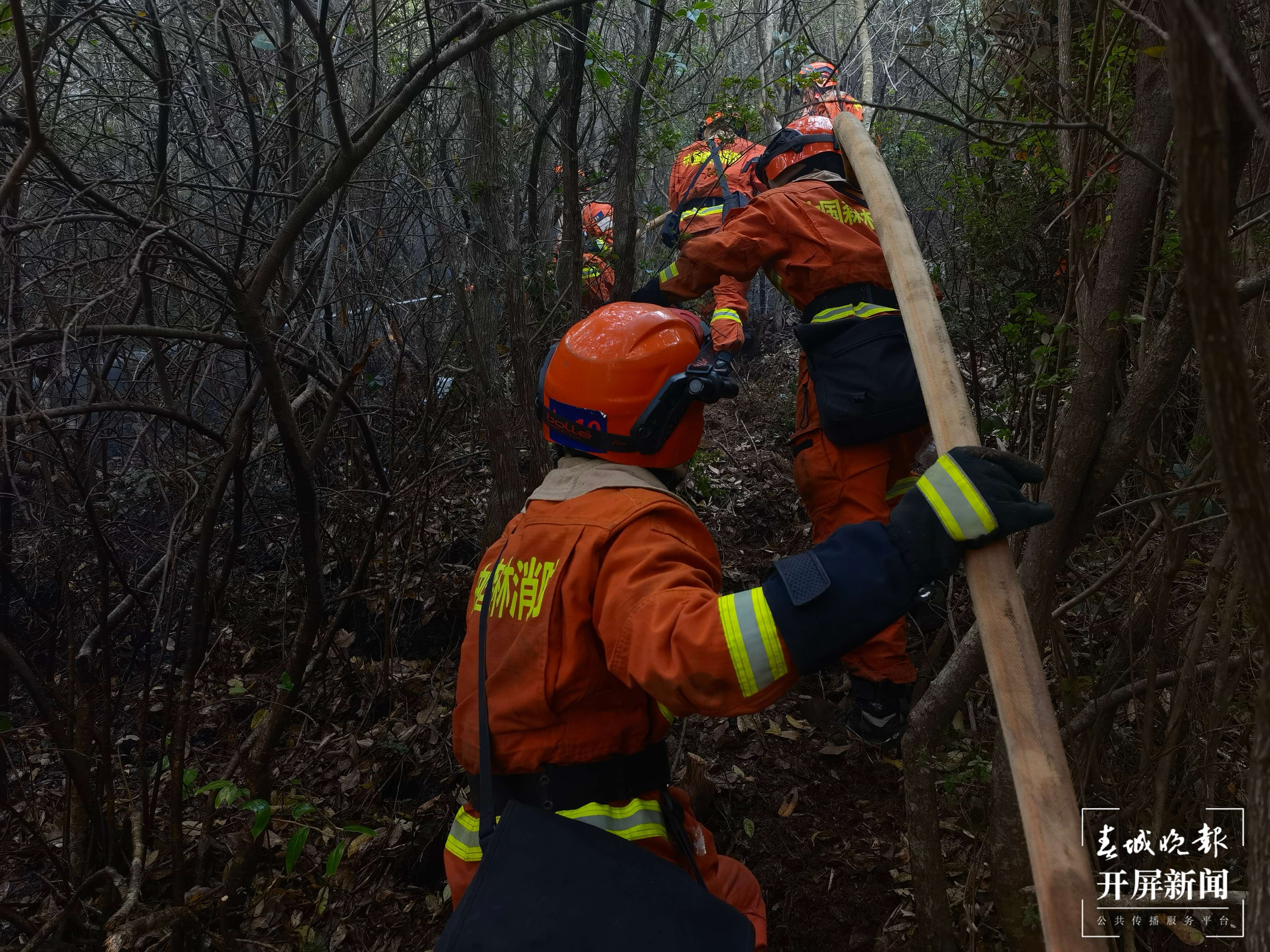 大理凤仪火场东线、南线已基本得到控制