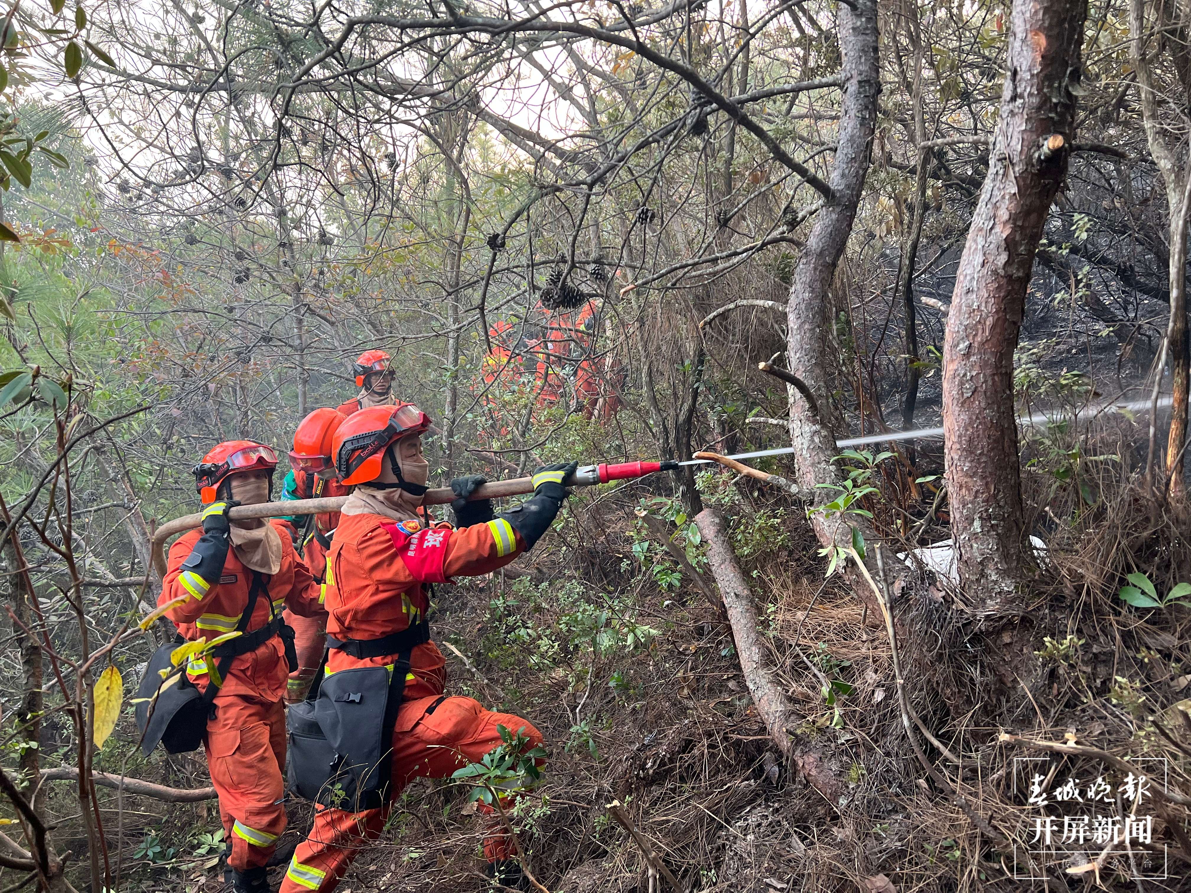 大理凤仪火场东线、南线已基本得到控制