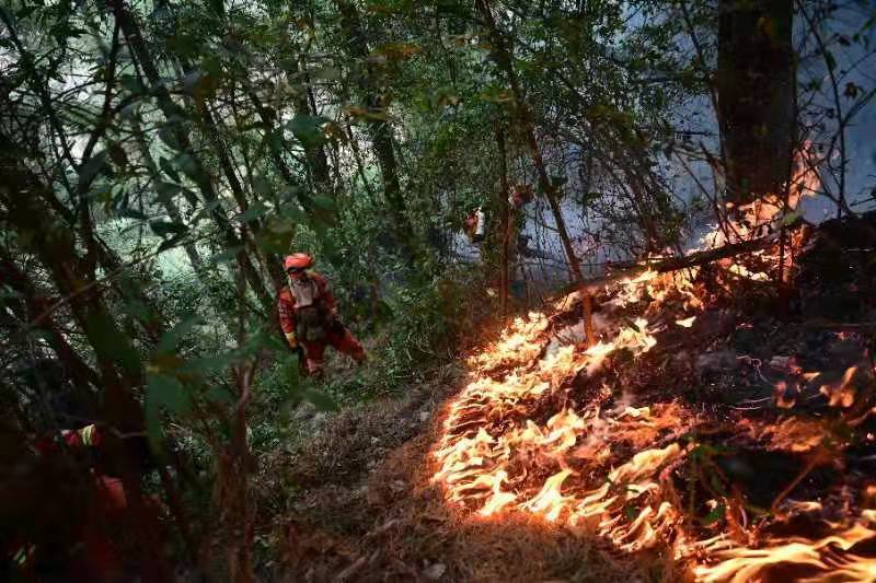 大理山火（通讯员 张瑞坤 摄）
