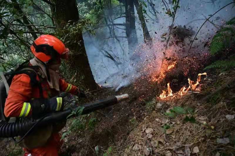 大理山火（通讯员 张瑞坤 摄）