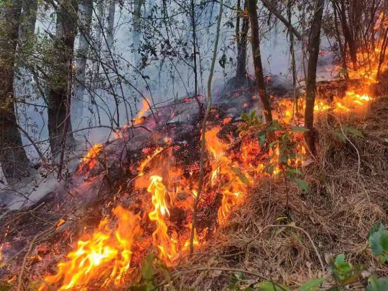 大理山火（通讯员 张瑞坤 摄）