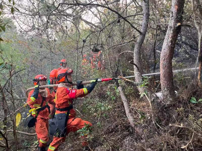 大理山火（通讯员 张瑞坤 摄）