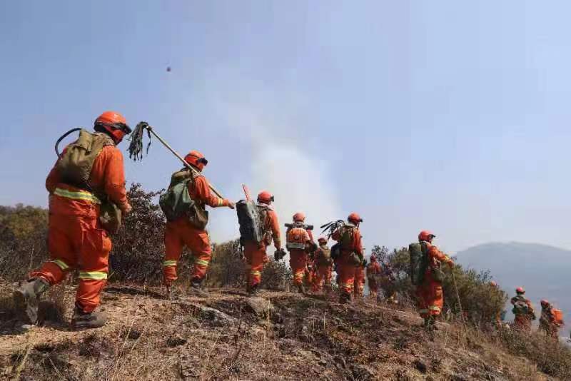 大理山火（通讯员 张瑞坤 摄）