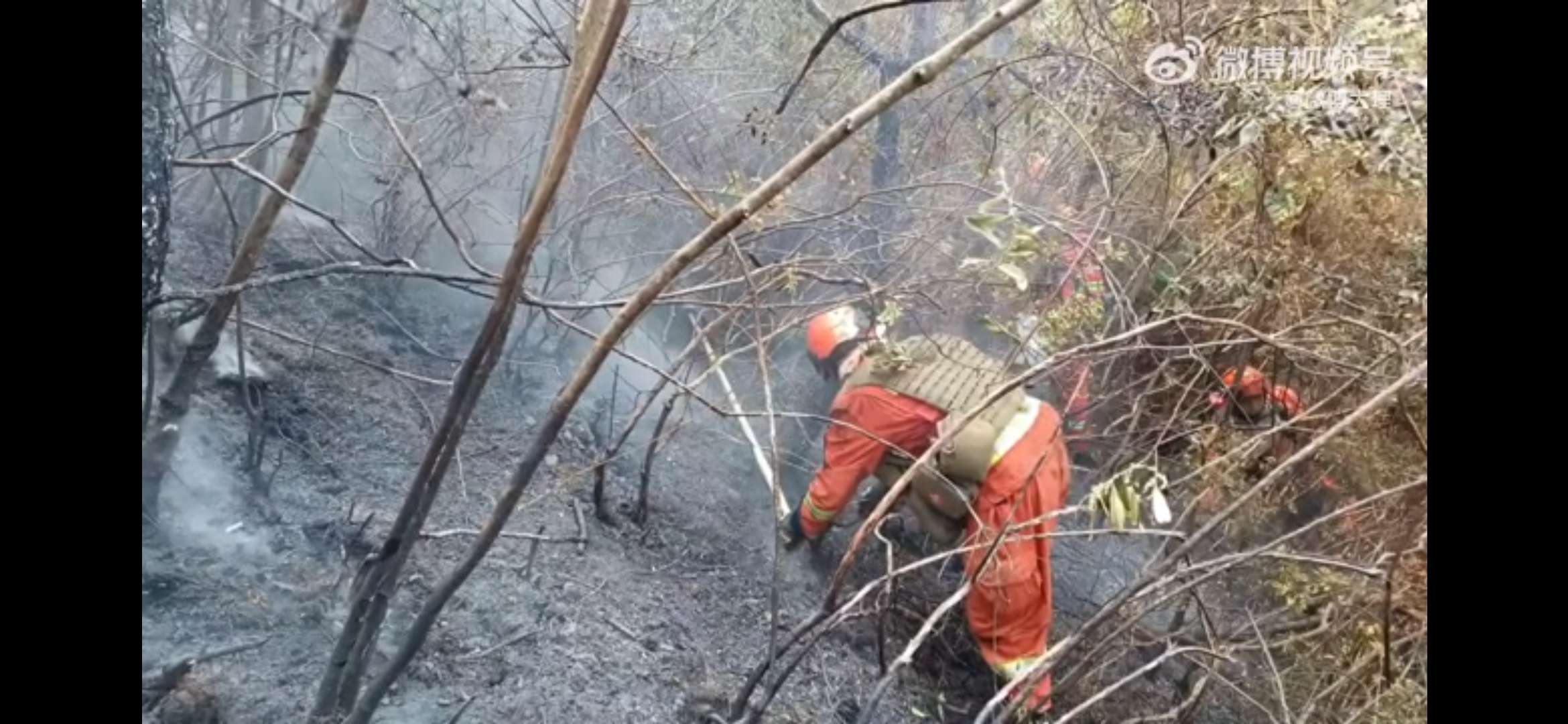 大理山火（视频截图）