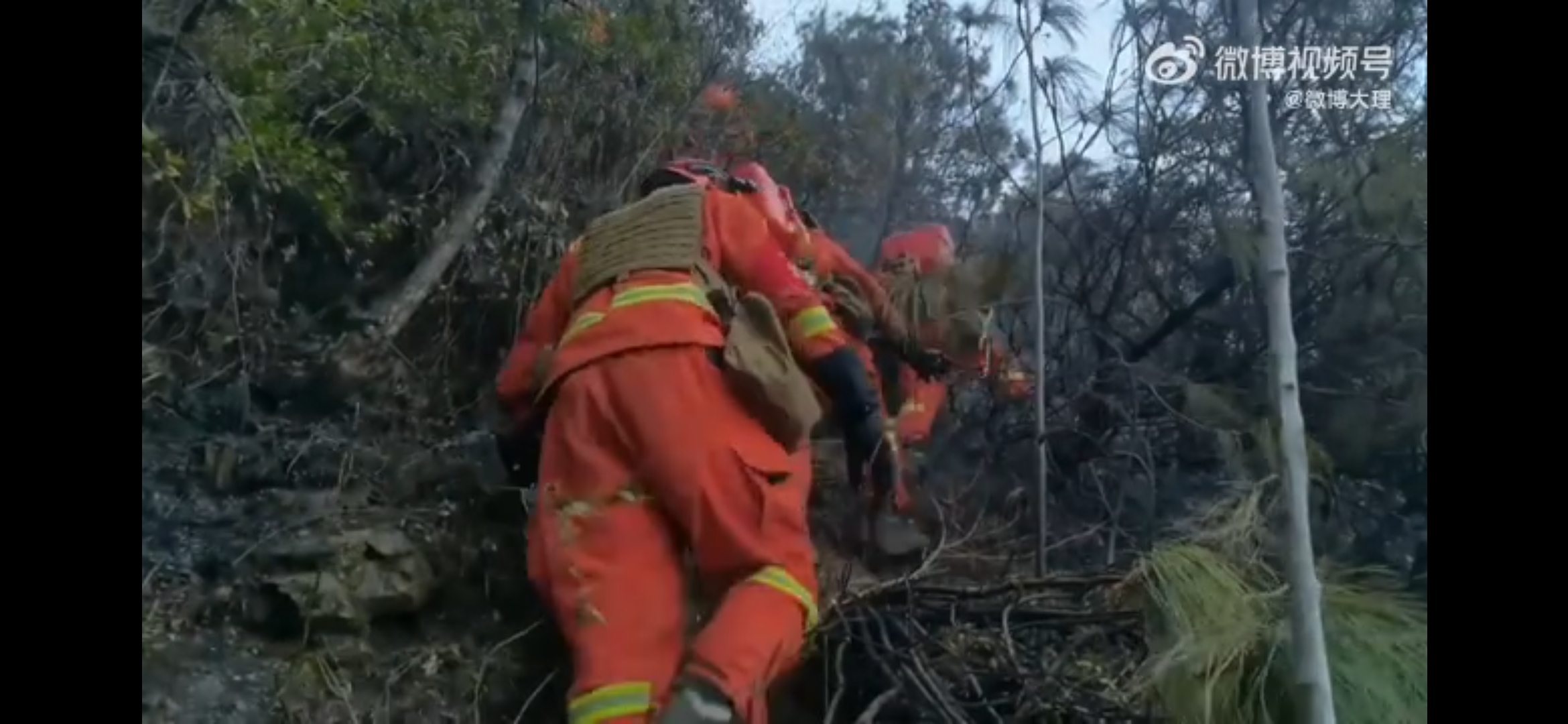 大理山火（视频截图）
