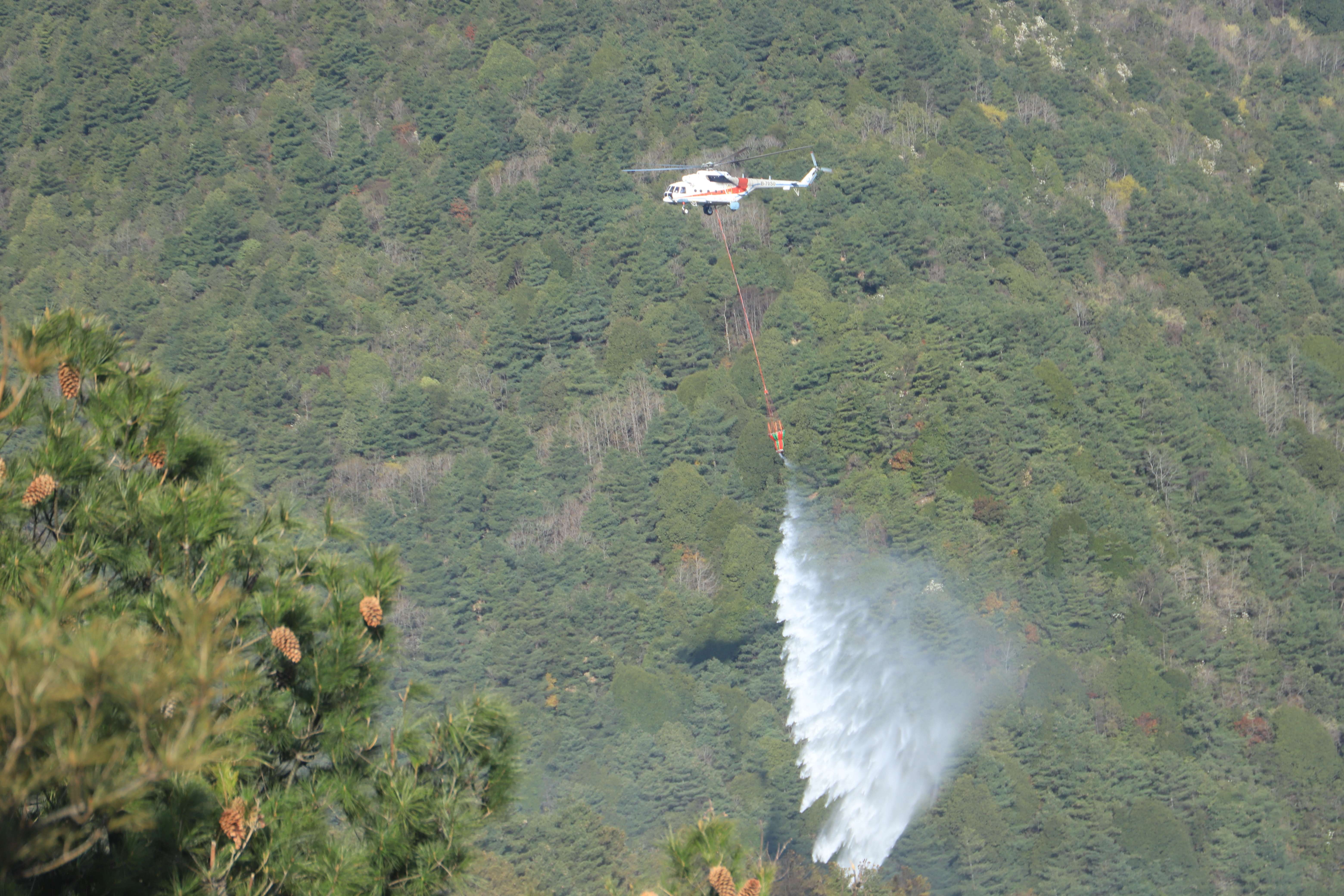 大理山火合围 （云南省森林消防总队供图）