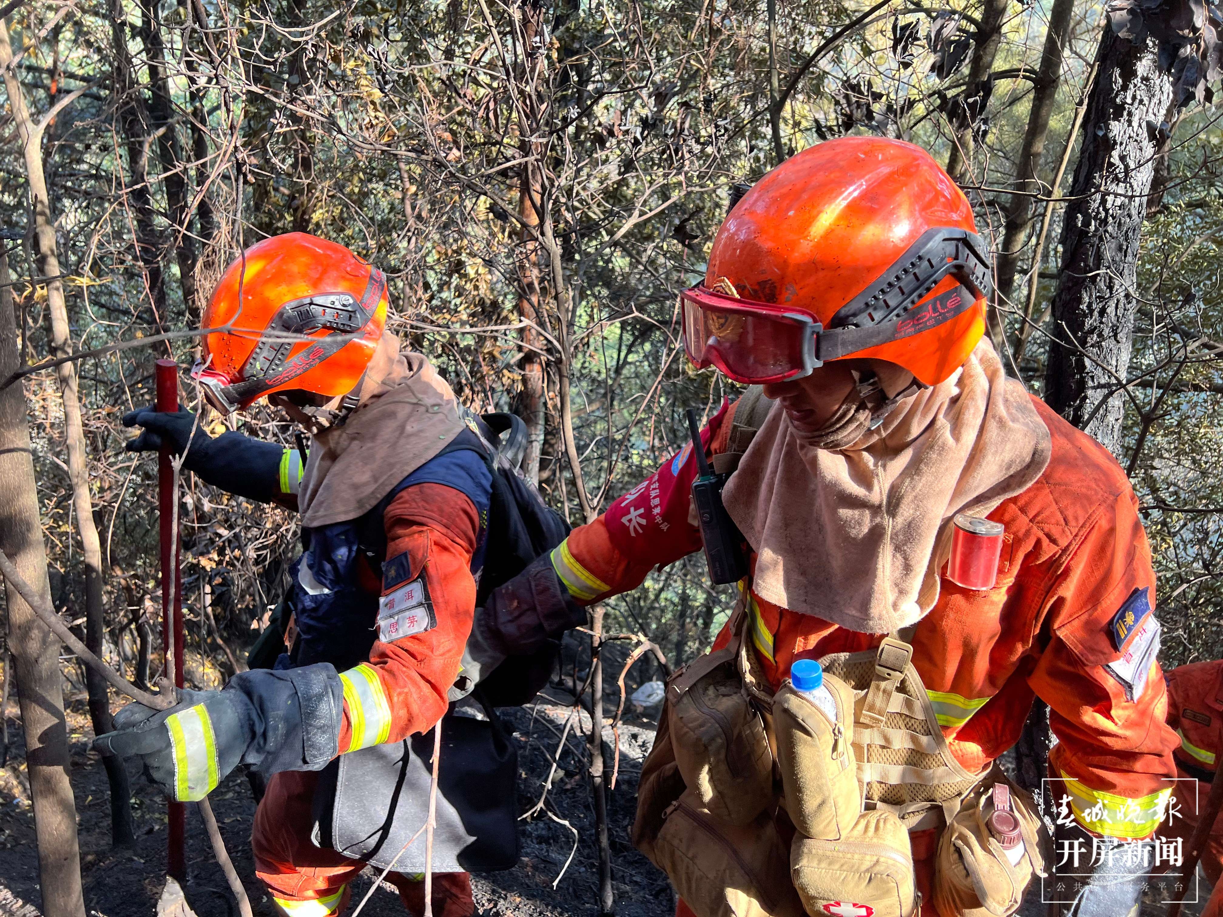 大理金甲山火场明火全部扑灭（开屏新闻记者 刘文波 杨维琦 通讯员 张凡兵 摄）