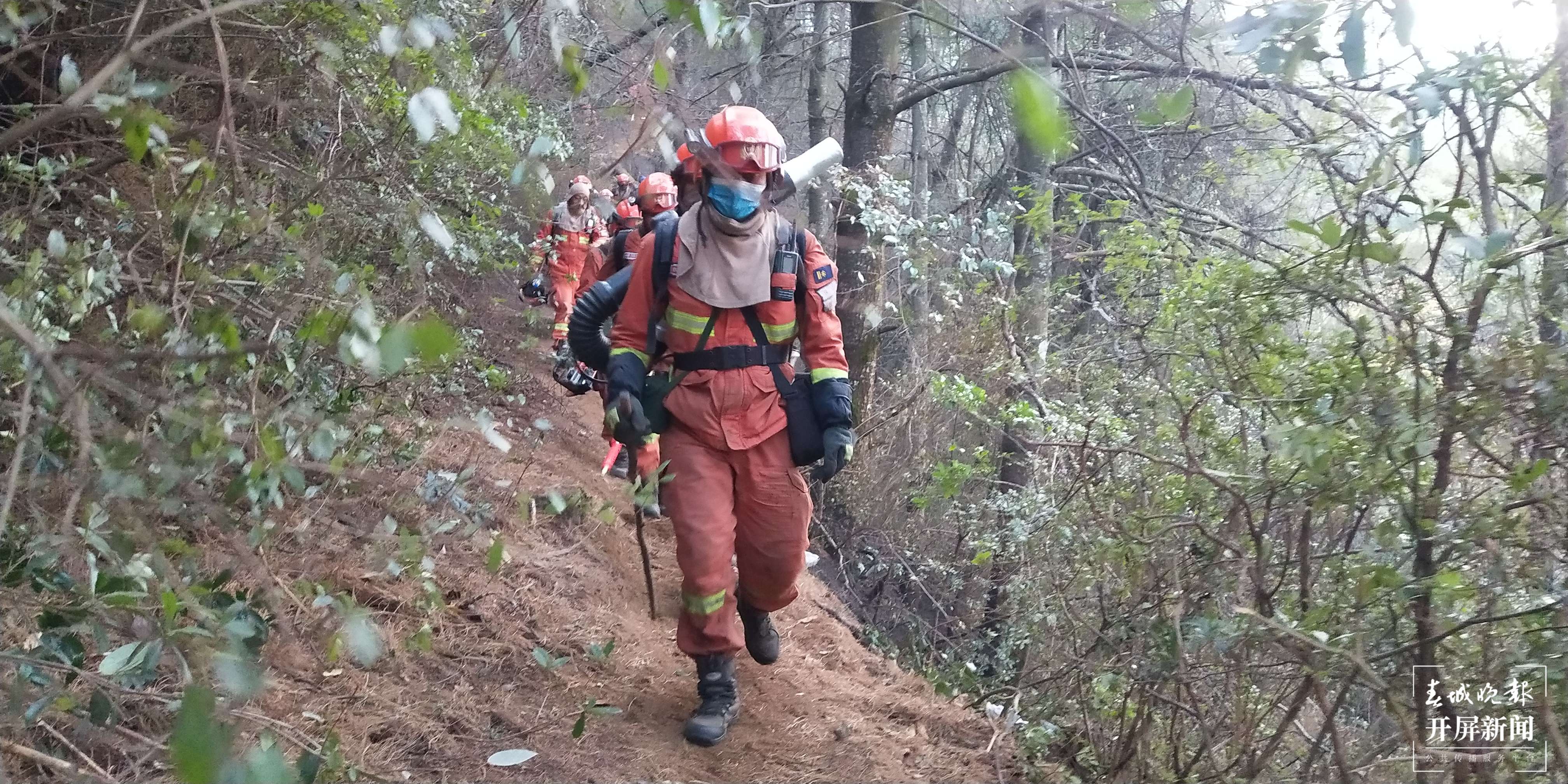 大理金甲山火场明火全部扑灭（开屏新闻记者 刘文波 杨维琦 通讯员 张凡兵 摄）