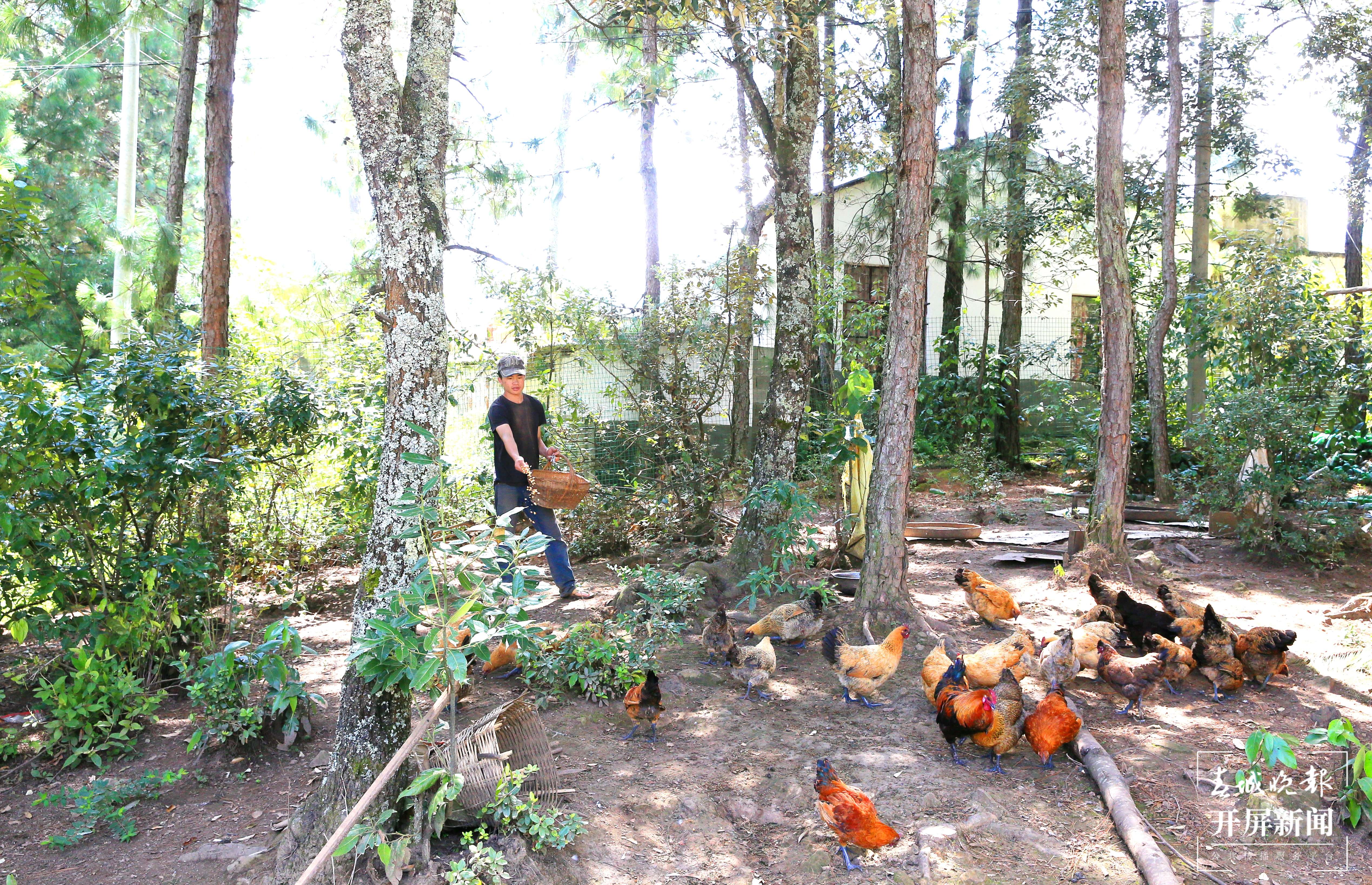 【建功新时代 跑出加速度】禄劝：乡村振兴加速跑