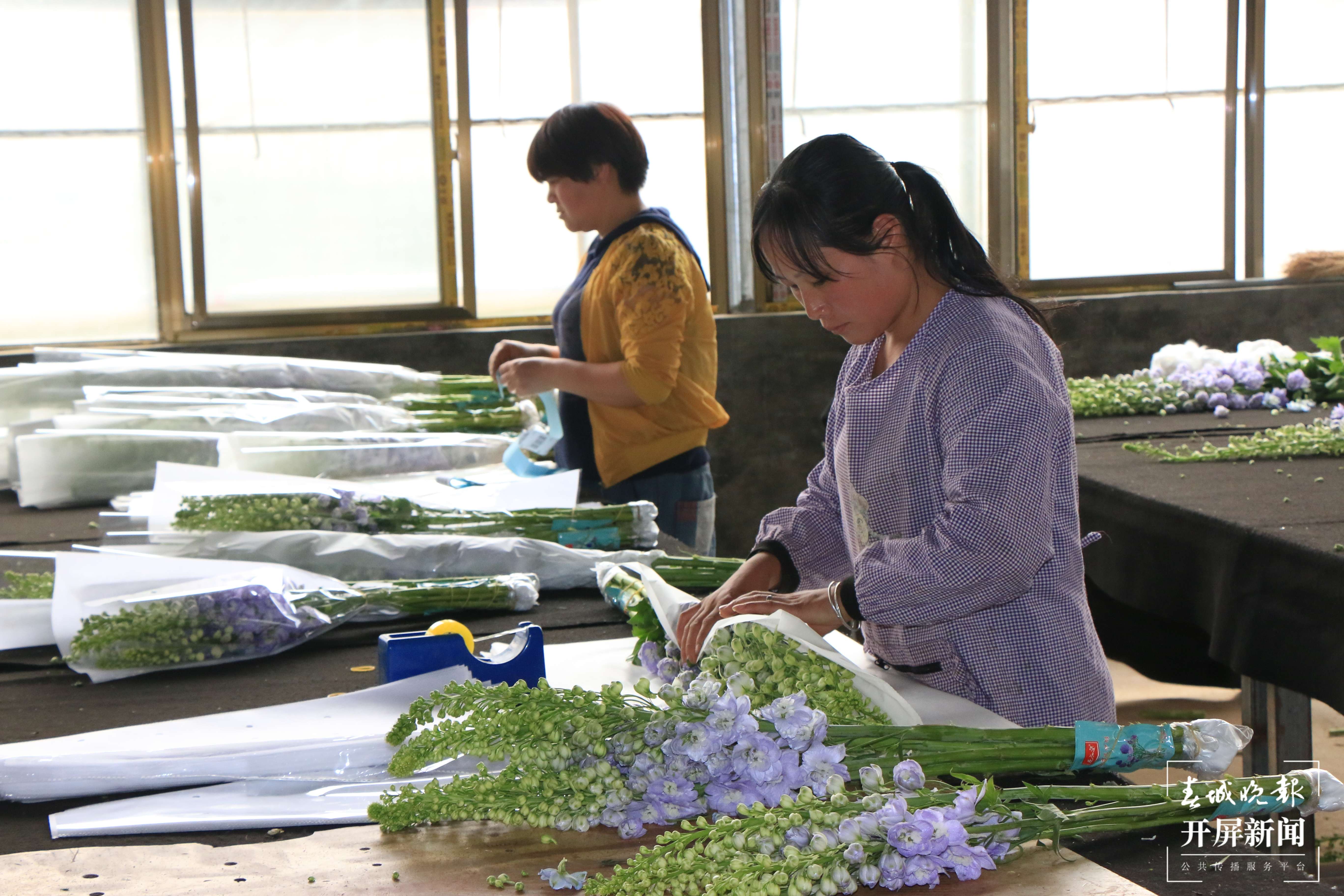 【建功新时代 跑出加速度】禄劝：乡村振兴加速跑