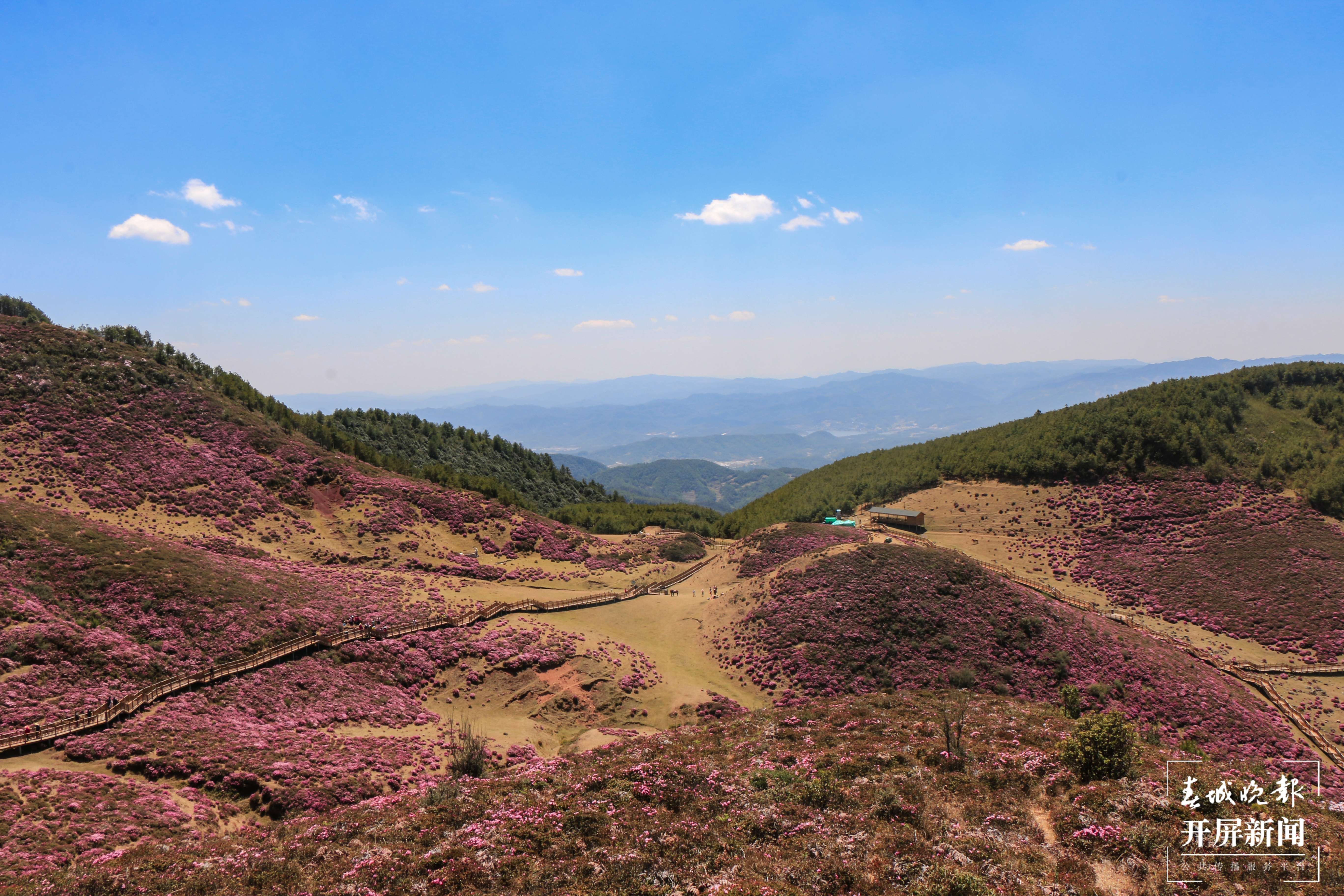 【建功新时代 跑出加速度】禄劝：乡村振兴加速跑