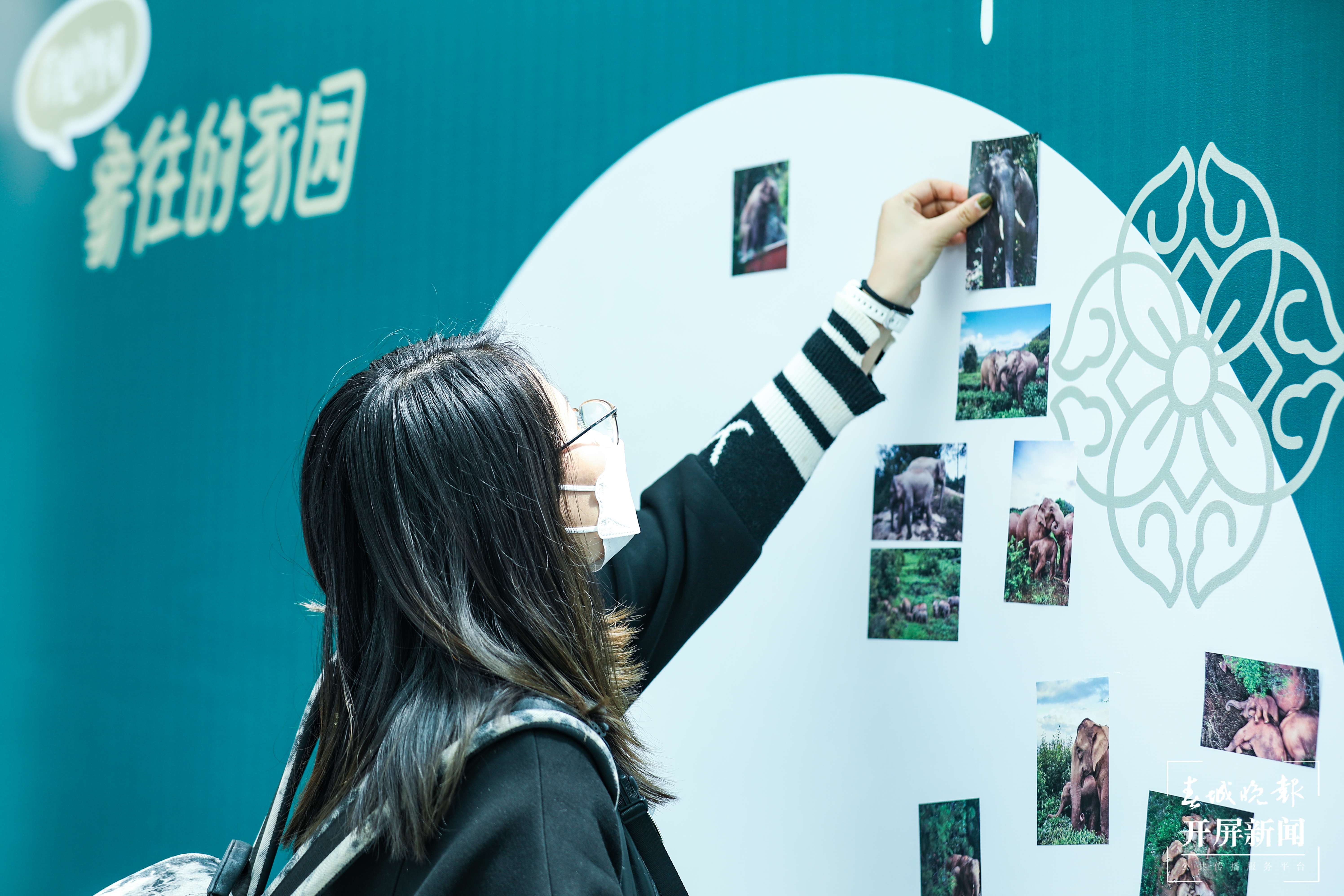 《看见中国-象往的家园》正式发布（主办方供图）