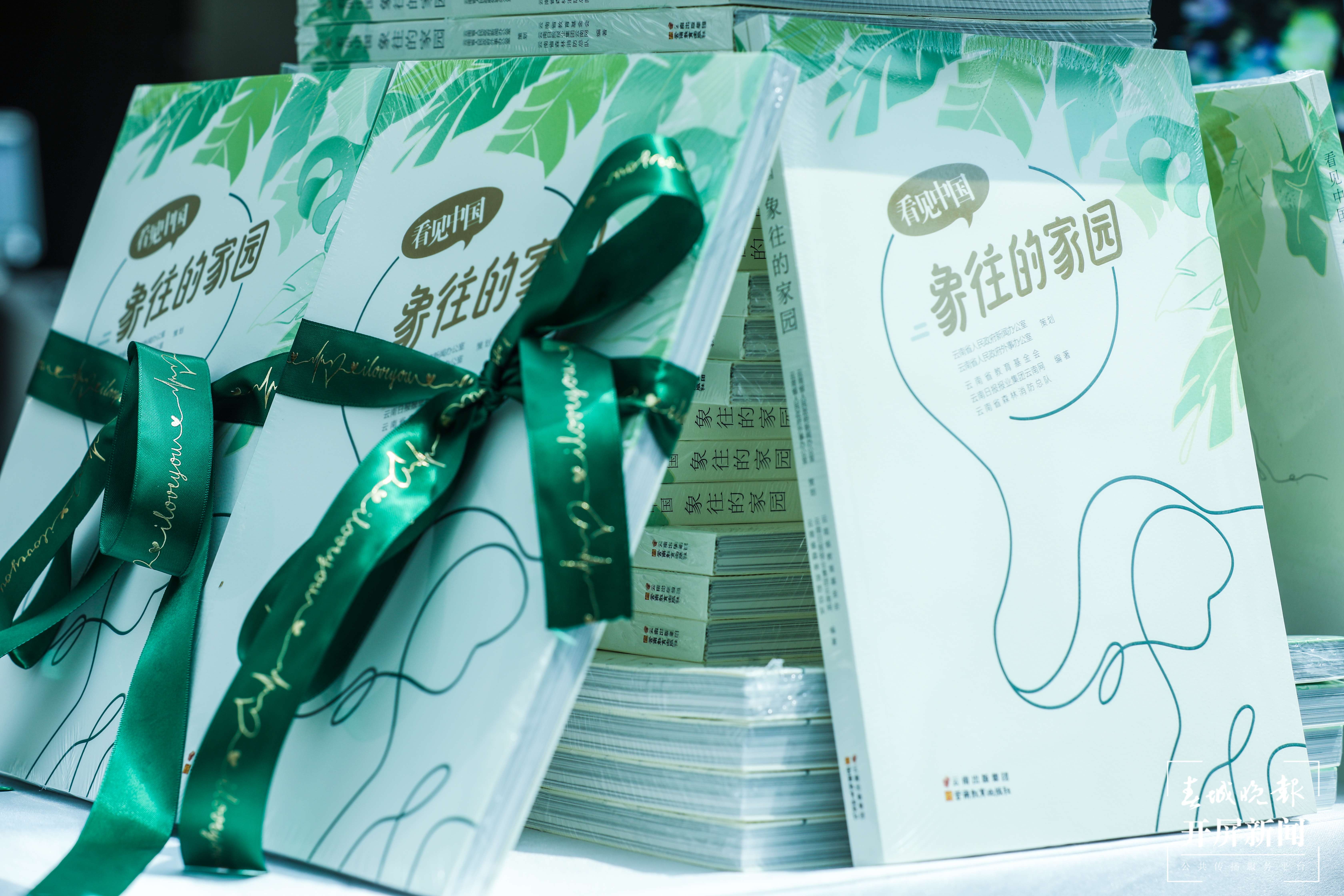 《看见中国-象往的家园》正式发布（主办方供图）