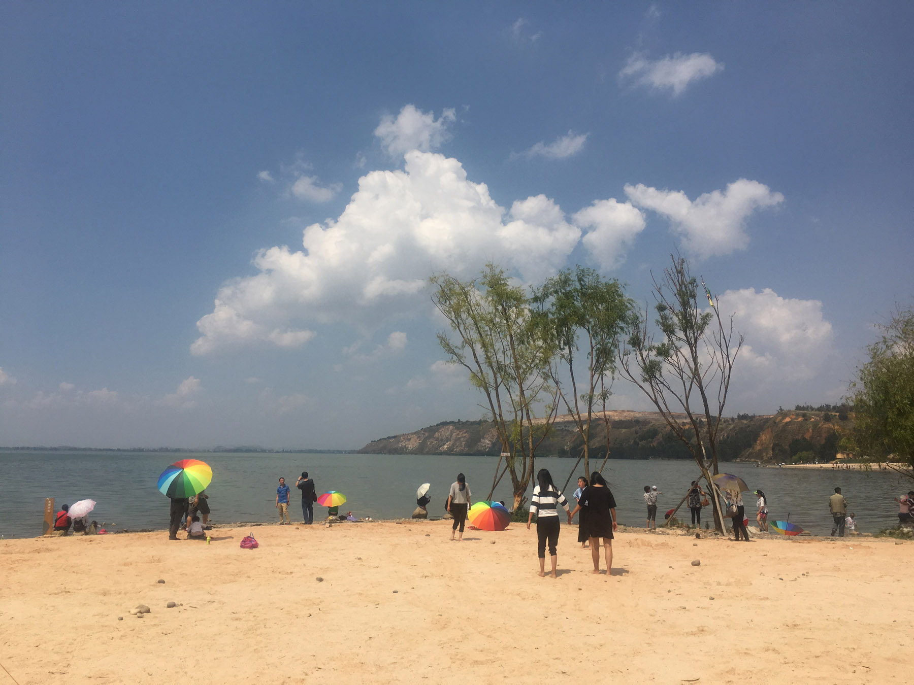 南滇池沙滩公园湿地棕榈凉亭 颇有东南亚海滩风情吸引大家驻足滇池畔  本报记者 李超 摄