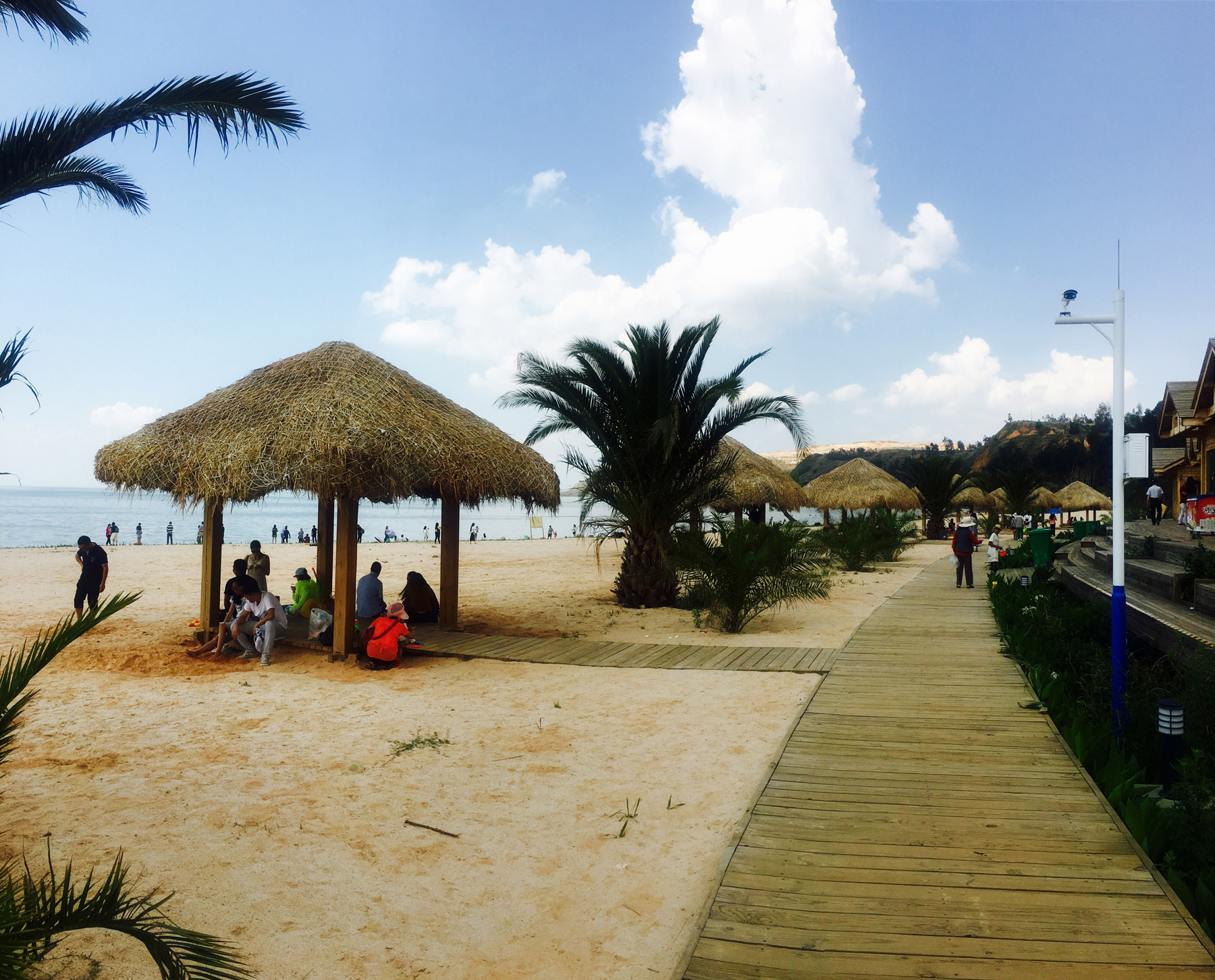 南滇池沙滩公园湿地棕榈凉亭 颇有东南亚海滩风情吸引大家驻足滇池畔  本报记者 李超 摄