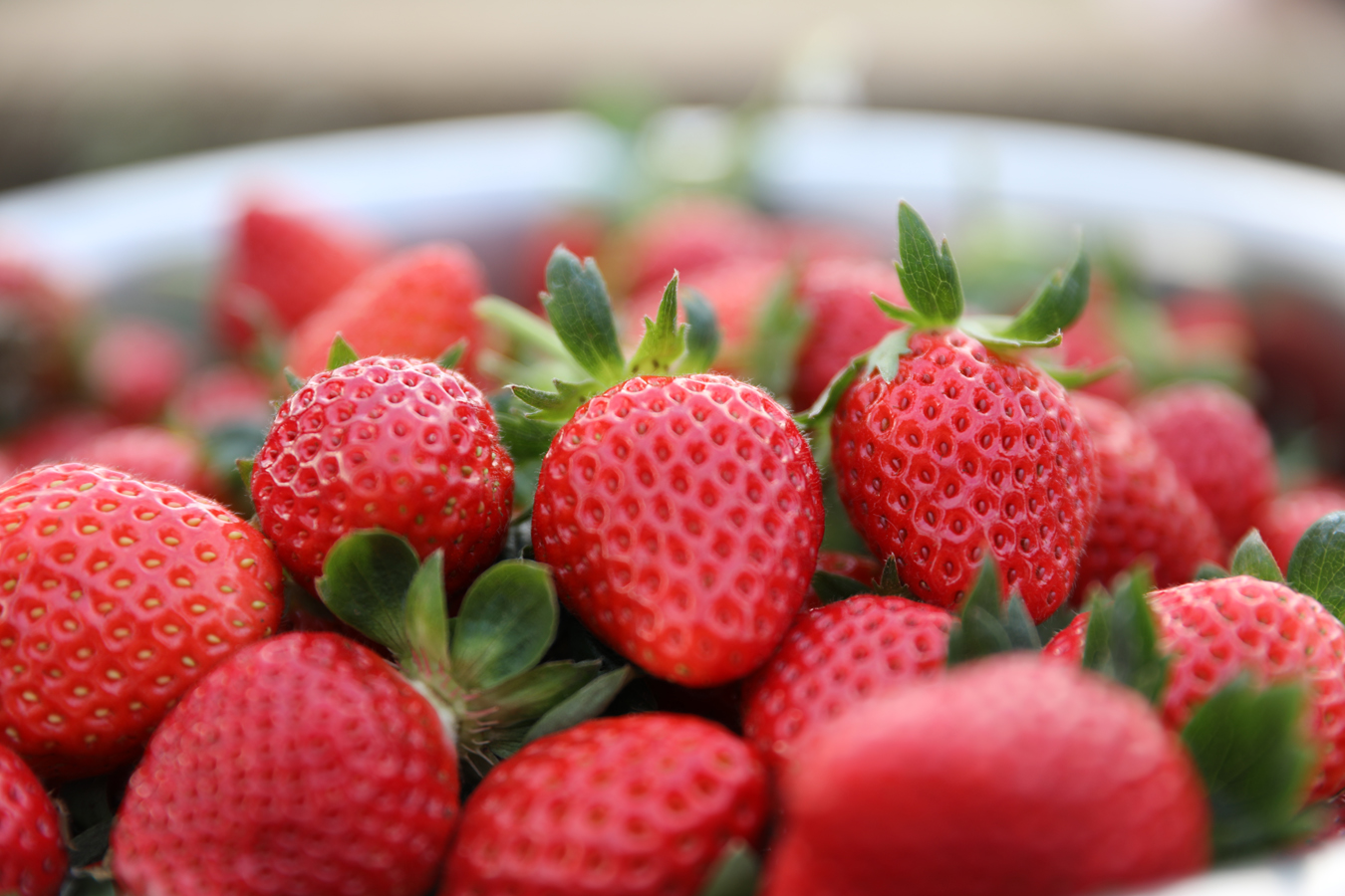 云吧｜腾冲团田：草莓（开屏新闻记者 崔敏 通讯员 杨弘毅 王梅 摄）