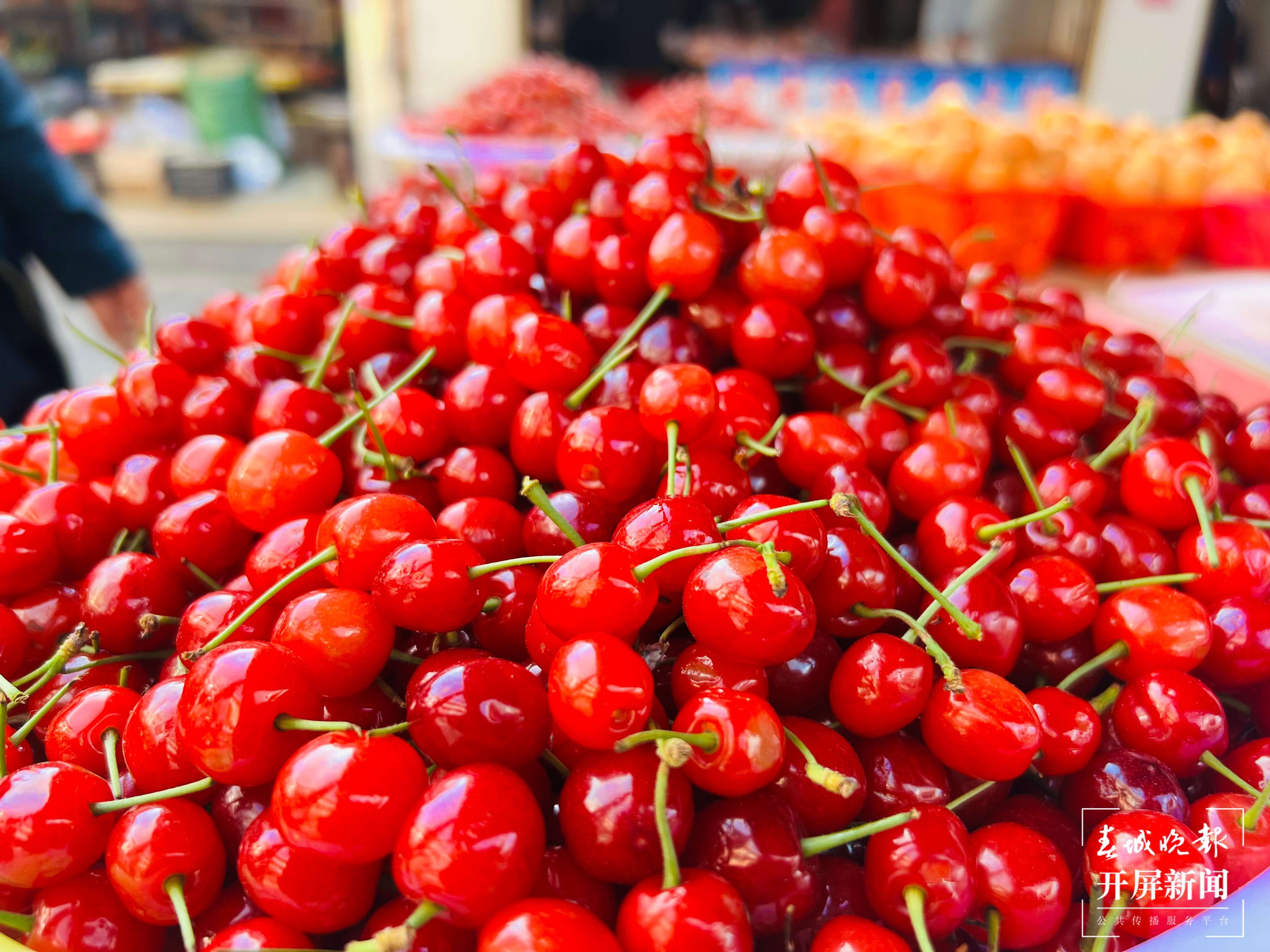 曲靖樱桃、桑葚（开屏新闻记者 蒋琼波 摄）