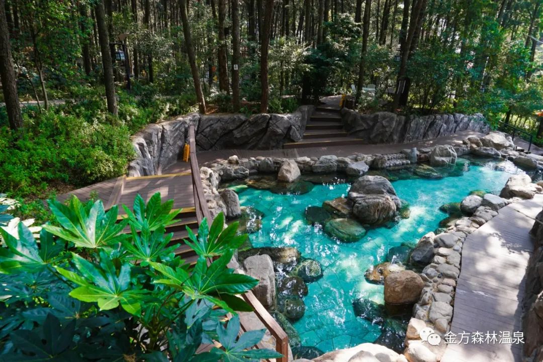 金方森林温泉2.jpg