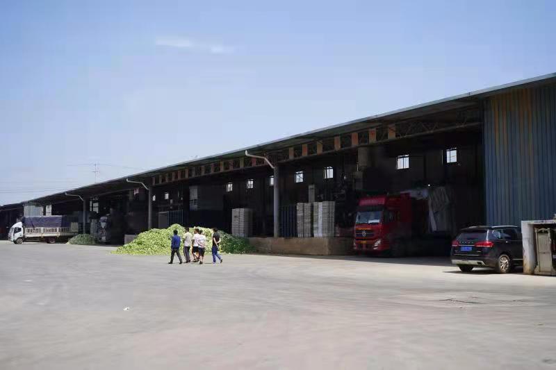 曲靖市陆良县：延伸蔬菜产业链 擦亮“金字招牌”5.jpg