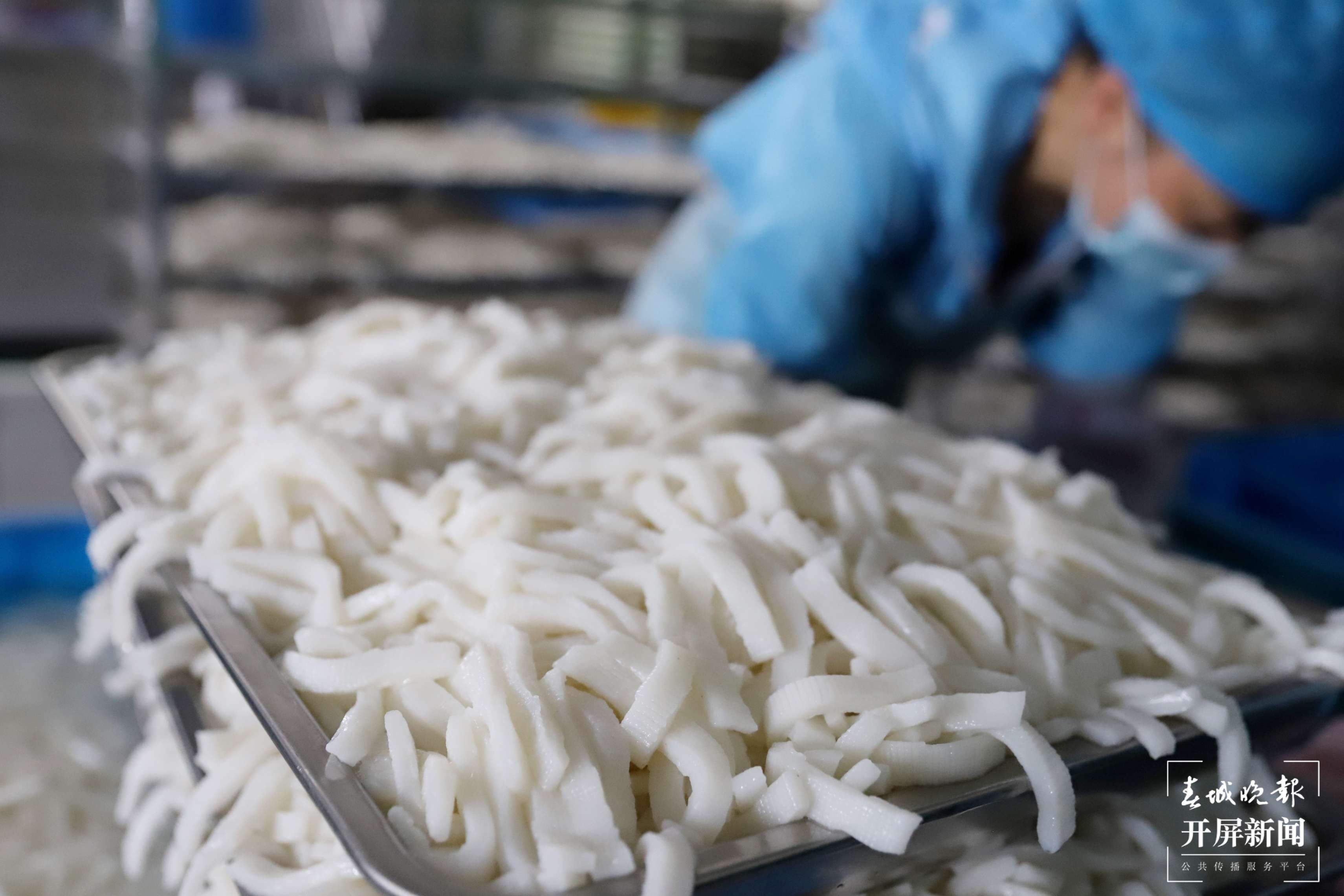 年产值达10亿   “小魔芋”撬动大市场  1.jpg