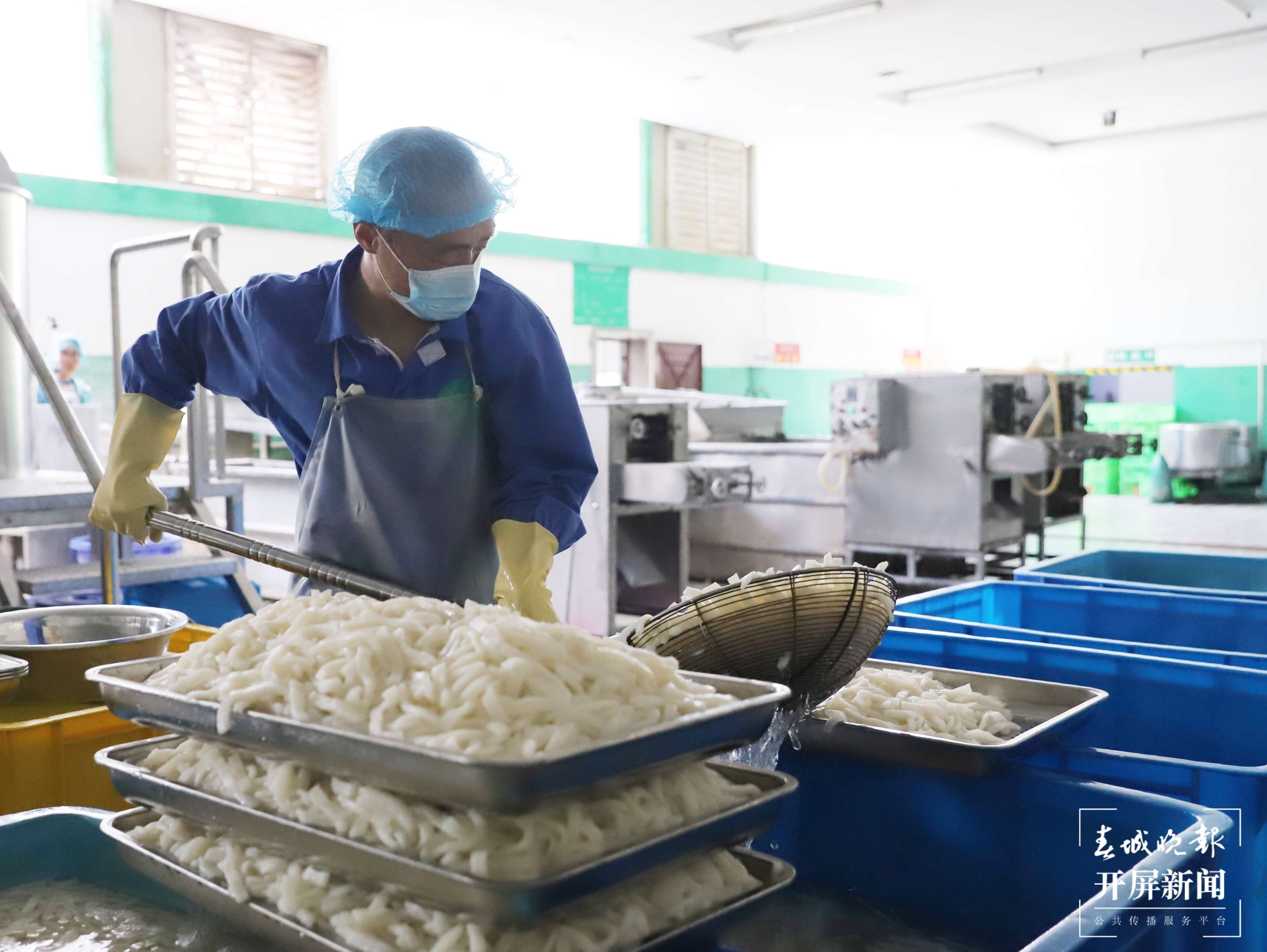 年产值达10亿   “小魔芋”撬动大市场  2.jpg