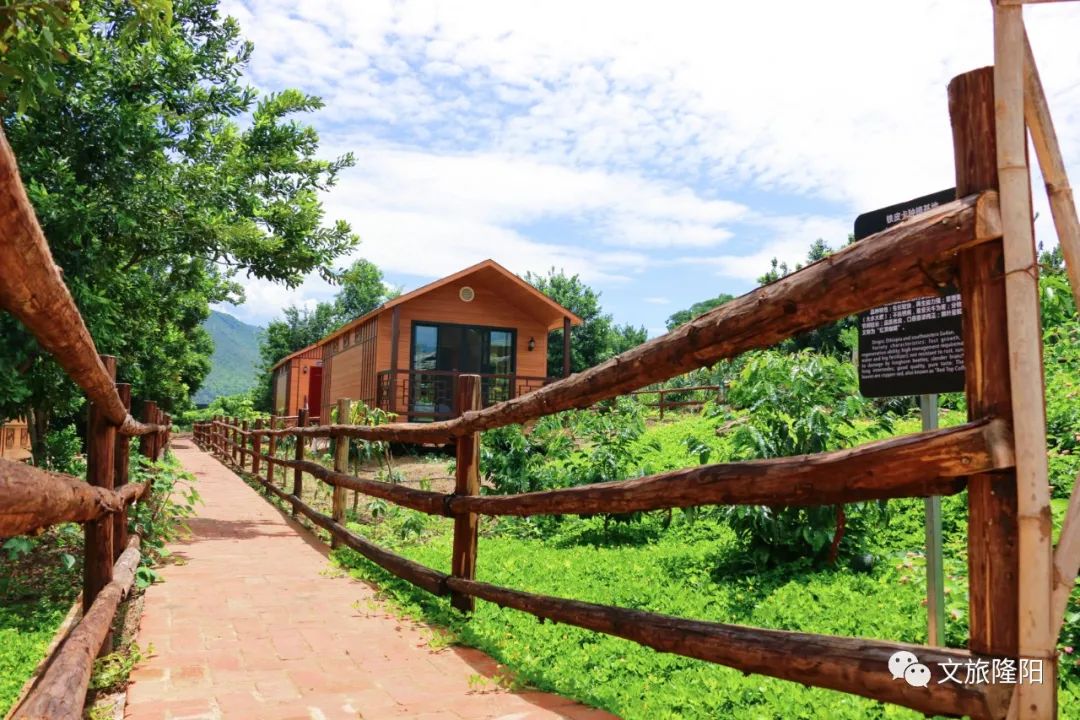 比顿咖啡文化产业园 崔敏 通讯员 甘湉 摄