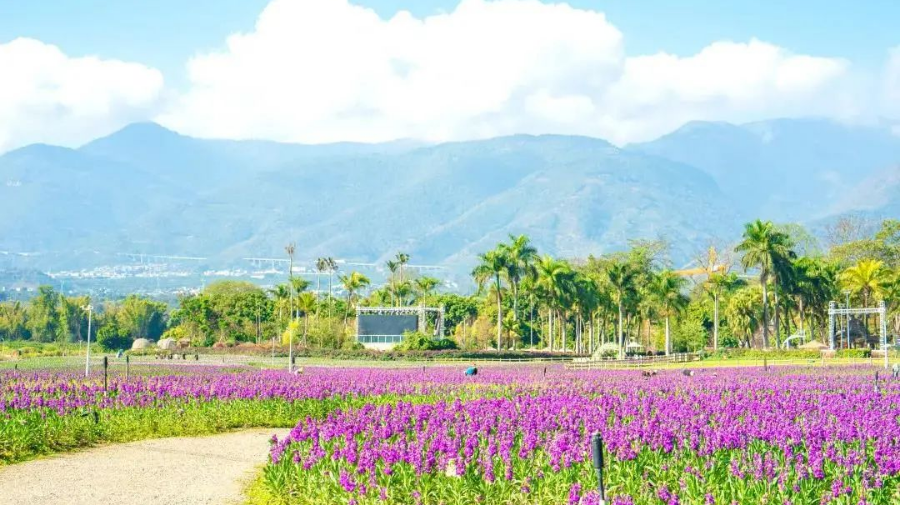 高黎贡·勐赫小镇 崔敏 通讯员 甘湉 摄