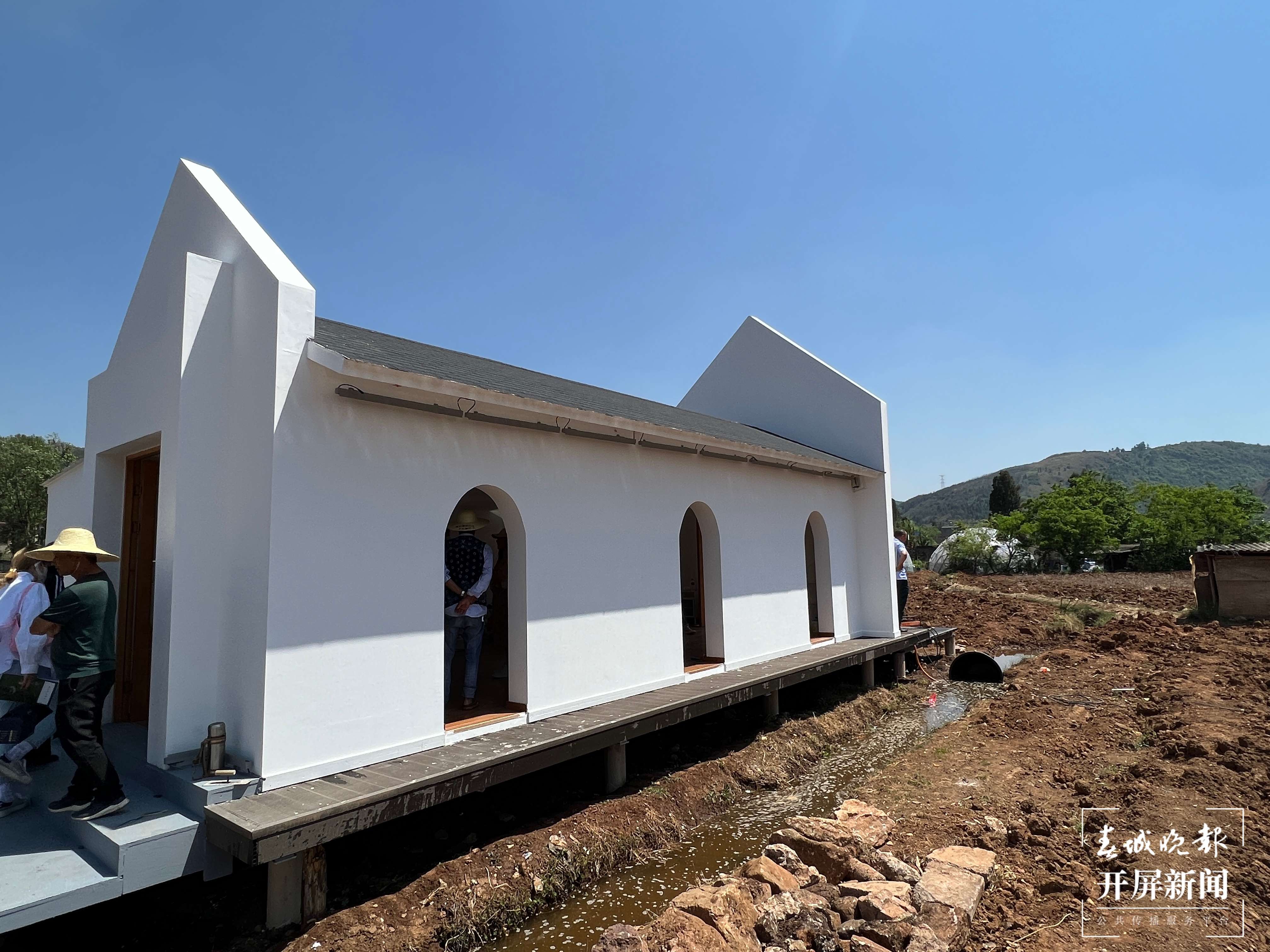 昆明五华区西翥街道邀市民认领稻田（开屏新闻记者 杨质高 摄）