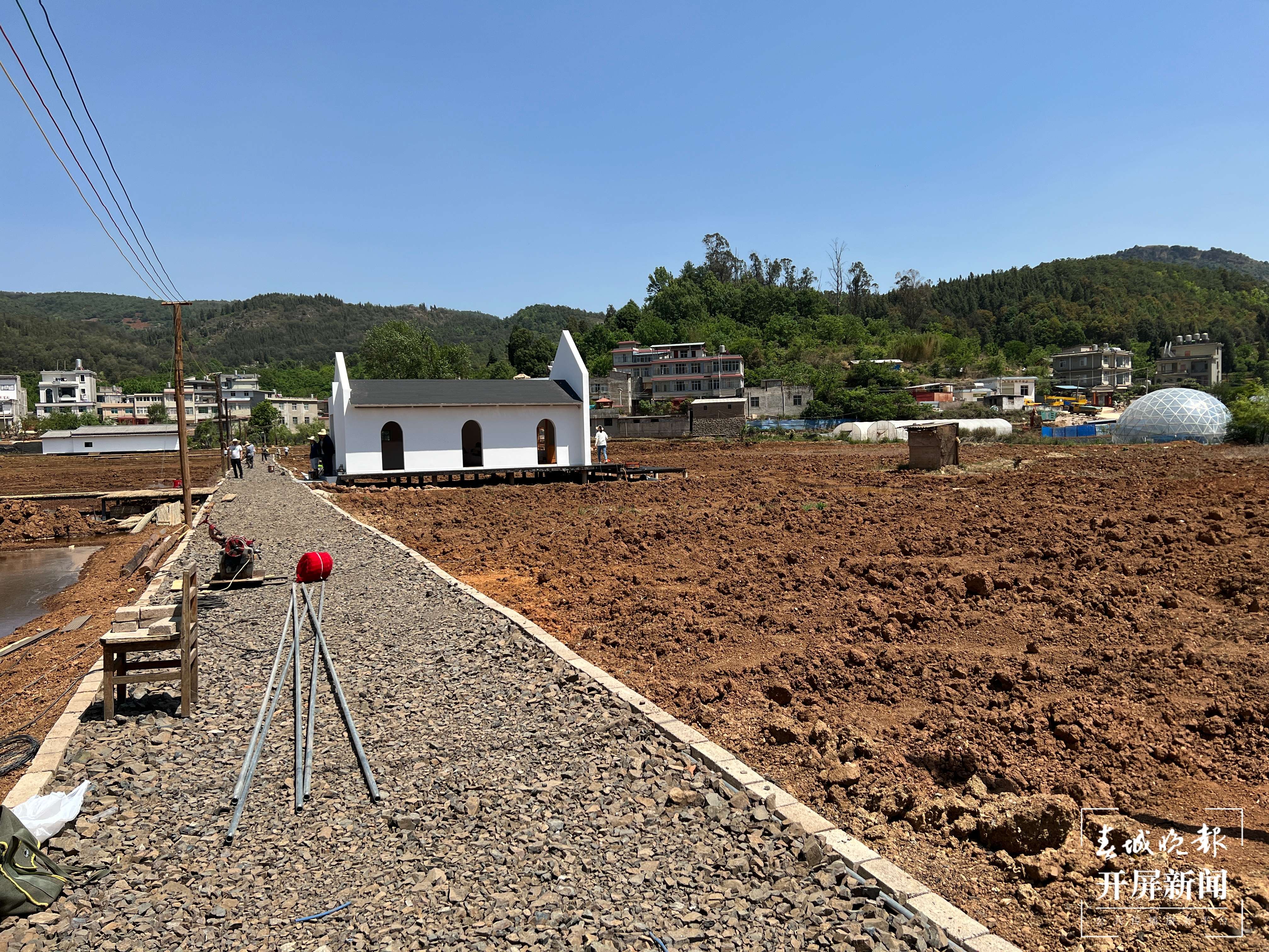 昆明五华区西翥街道邀市民认领稻田（开屏新闻记者 杨质高 摄）