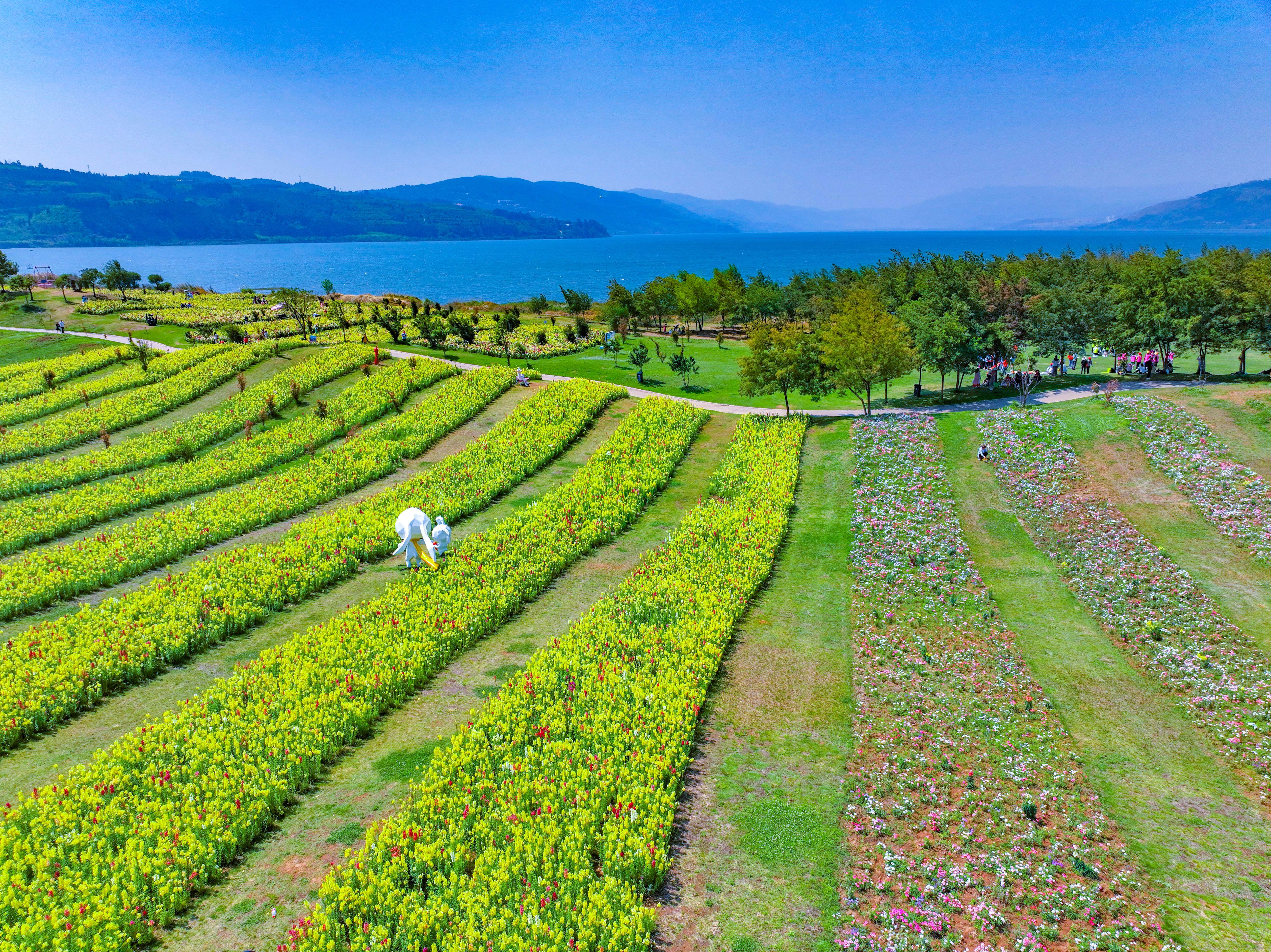 摘樱桃、亲子自然旅行、玩水乐园……时下，阳宗海玩场多多（供图）