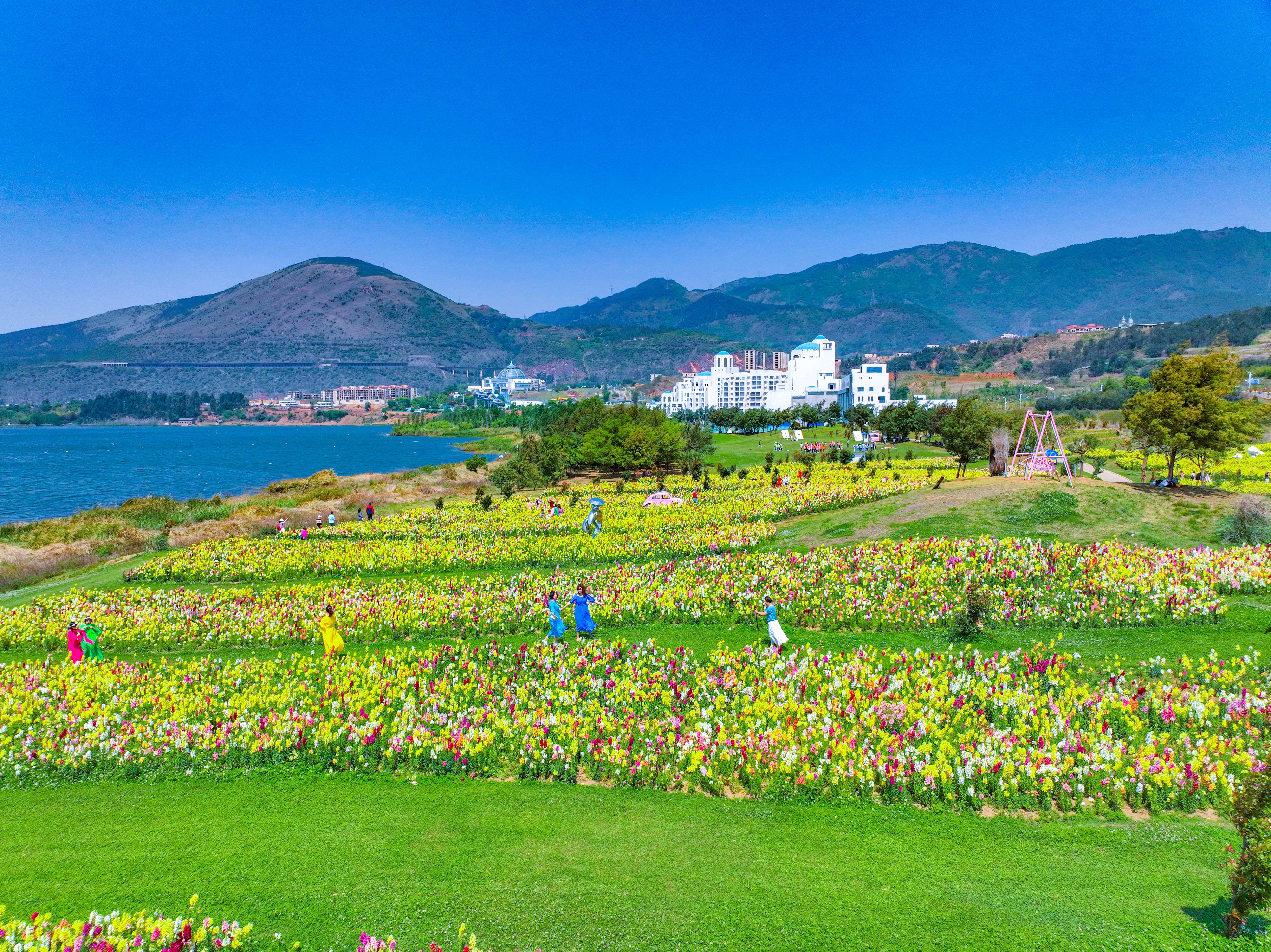 摘樱桃、亲子自然旅行、玩水乐园……时下，阳宗海玩场多多（供图）