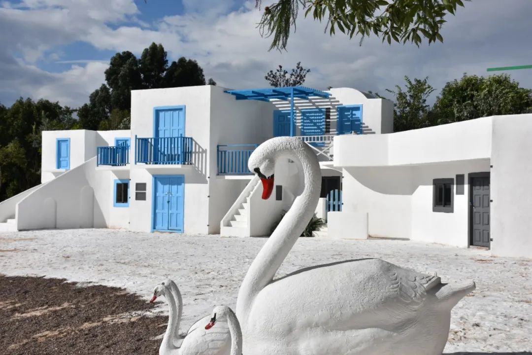 五一特别策划·打卡