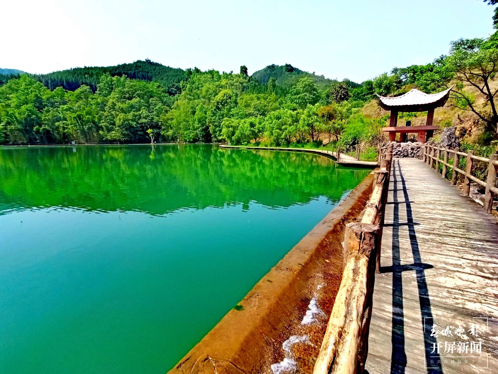 【云报全媒体走进曲靖】凤凰谷的清凉之旅