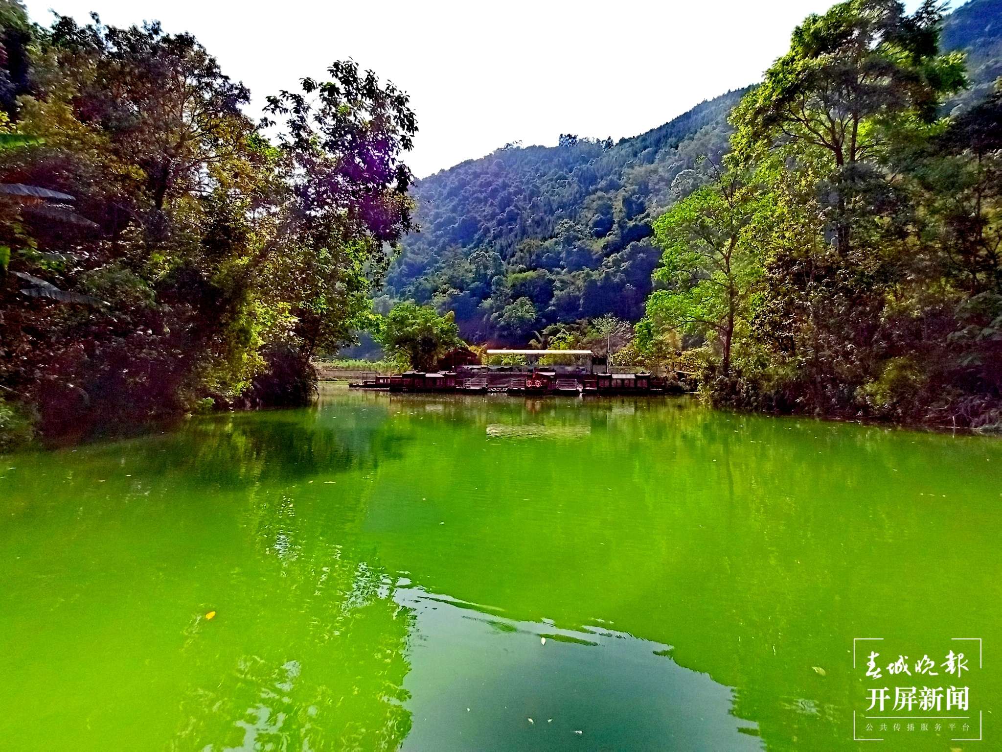 【云报全媒体走进曲靖】凤凰谷的清凉之旅