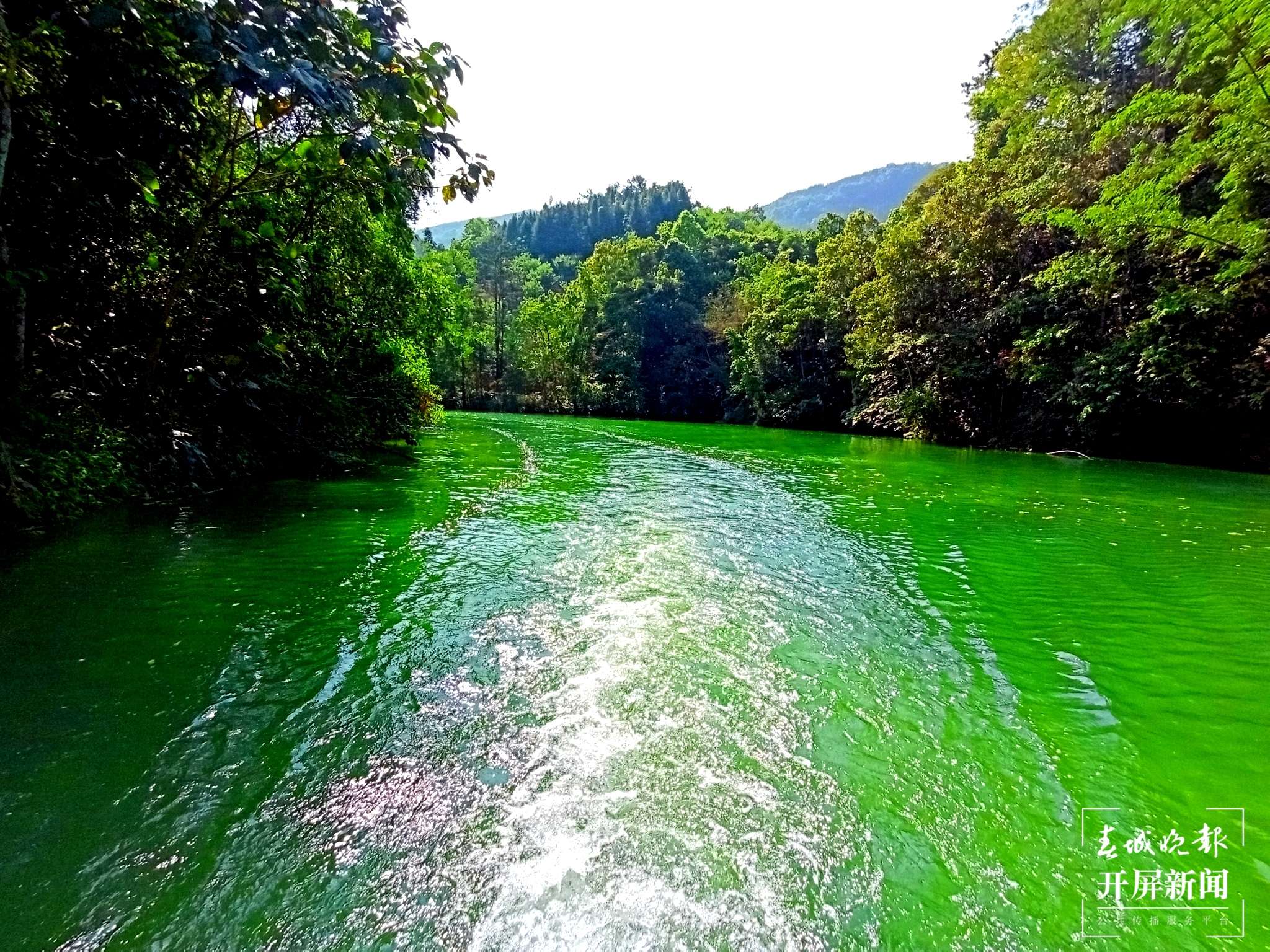 【云报全媒体走进曲靖】凤凰谷的清凉之旅