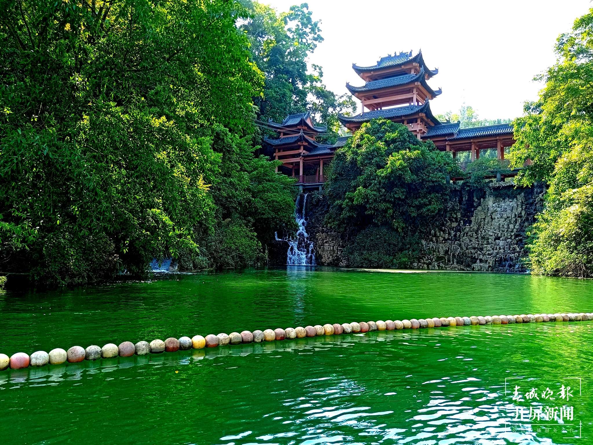 【云报全媒体走进曲靖】凤凰谷的清凉之旅