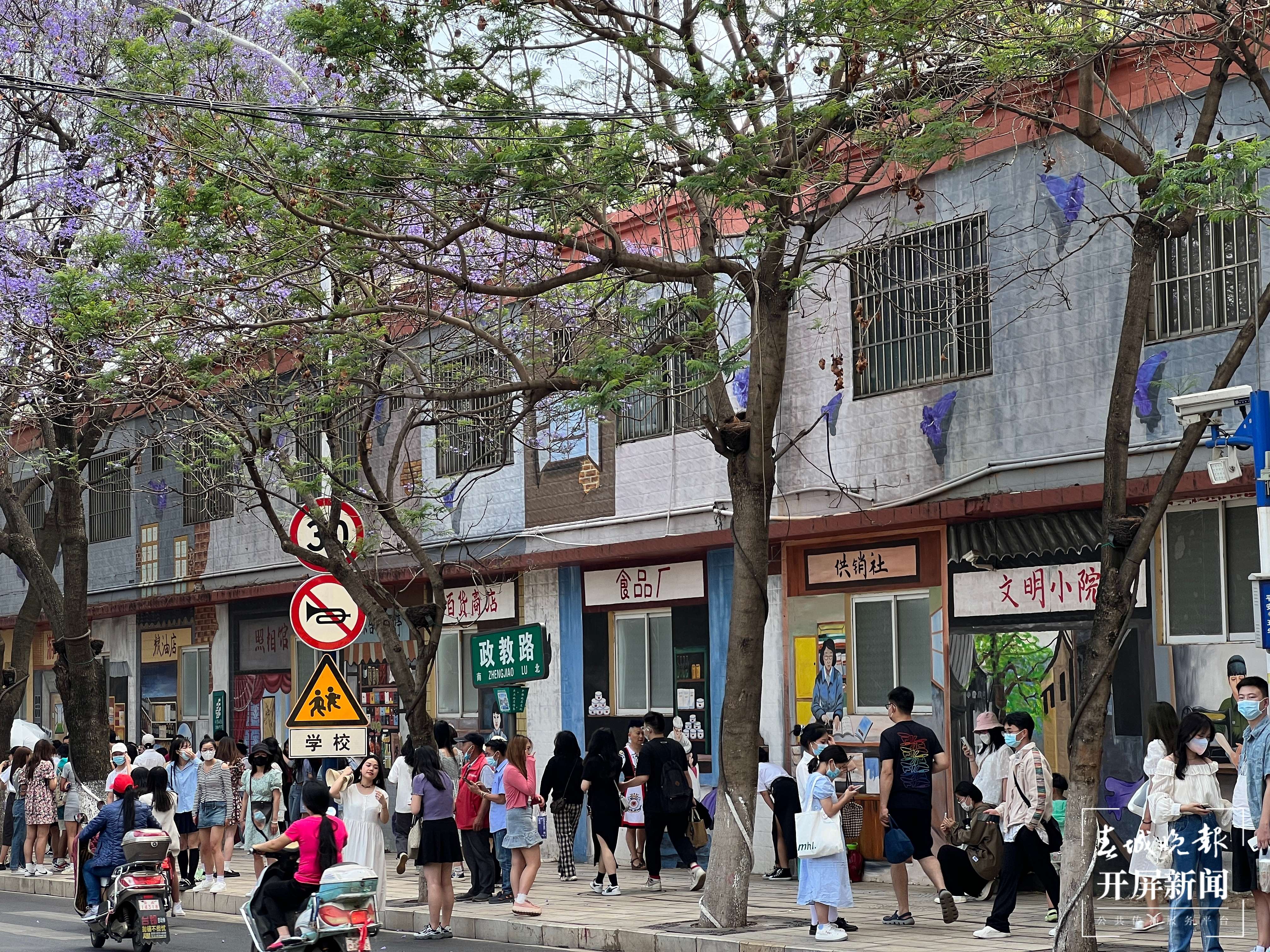 第四届蓝花楹文化艺术节&消费季来啦（开屏新闻记者 杨质高 摄）