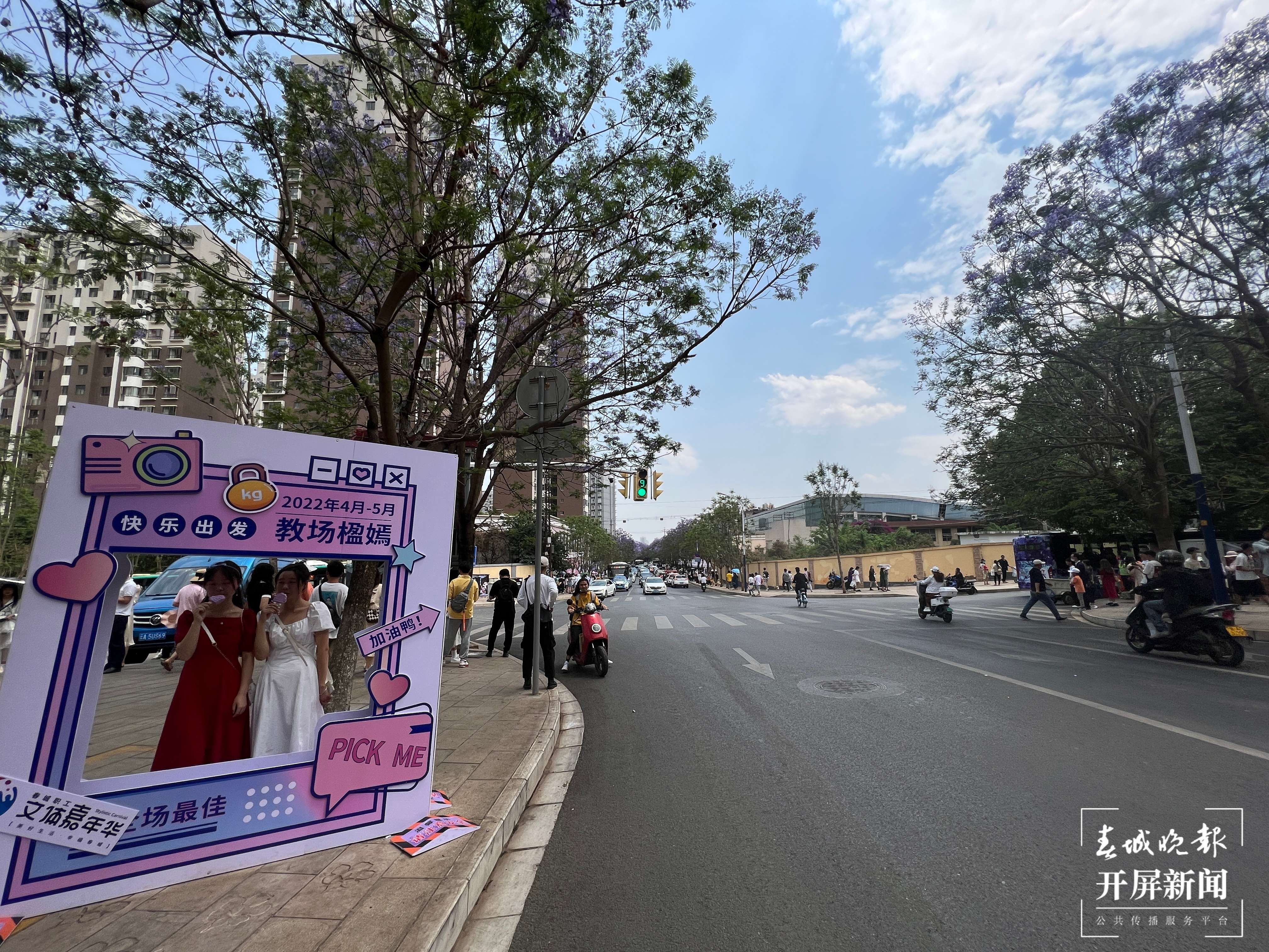 第四届蓝花楹文化艺术节&消费季来啦（开屏新闻记者 杨质高 摄）