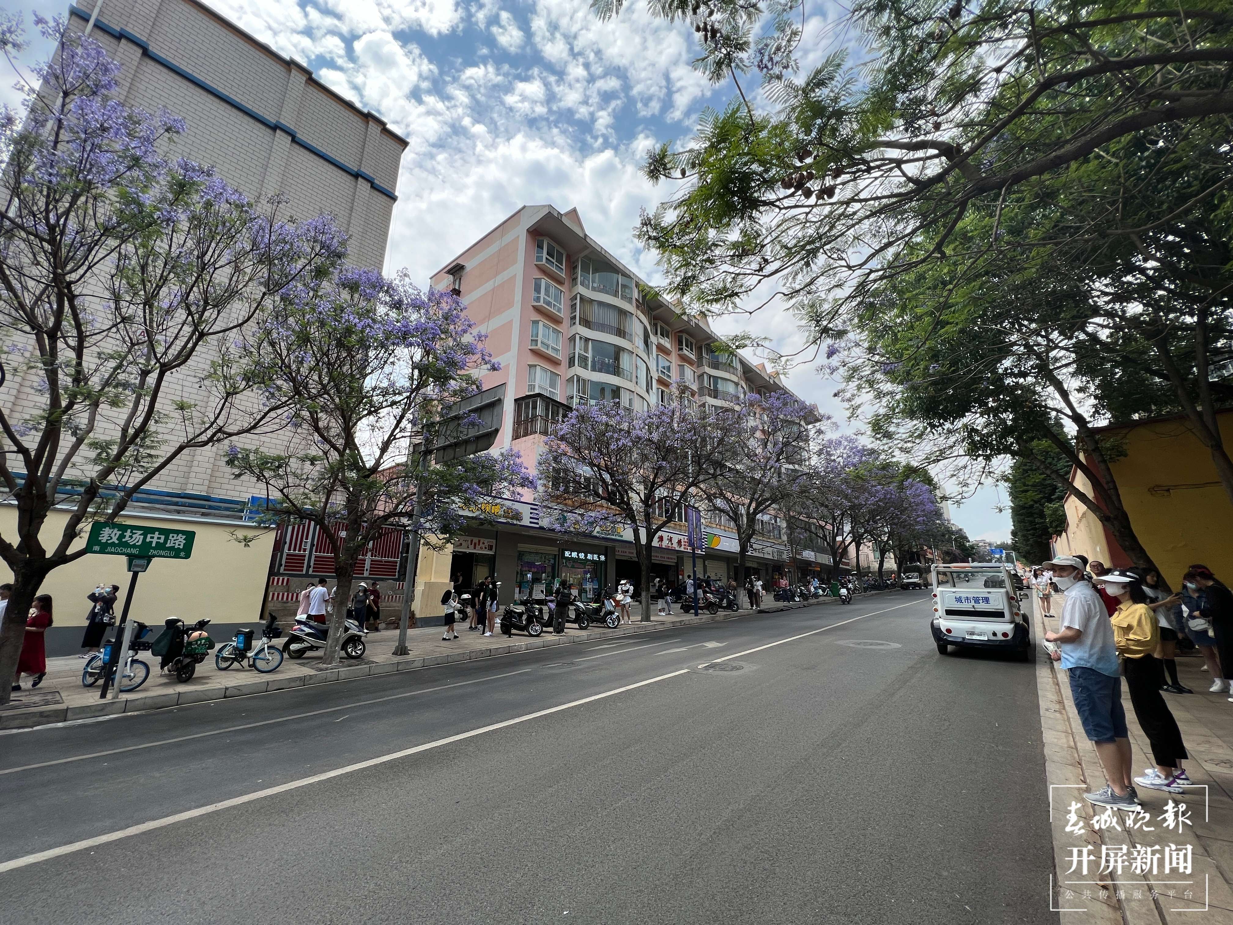 第四届蓝花楹文化艺术节&消费季来啦（开屏新闻记者 杨质高 摄）
