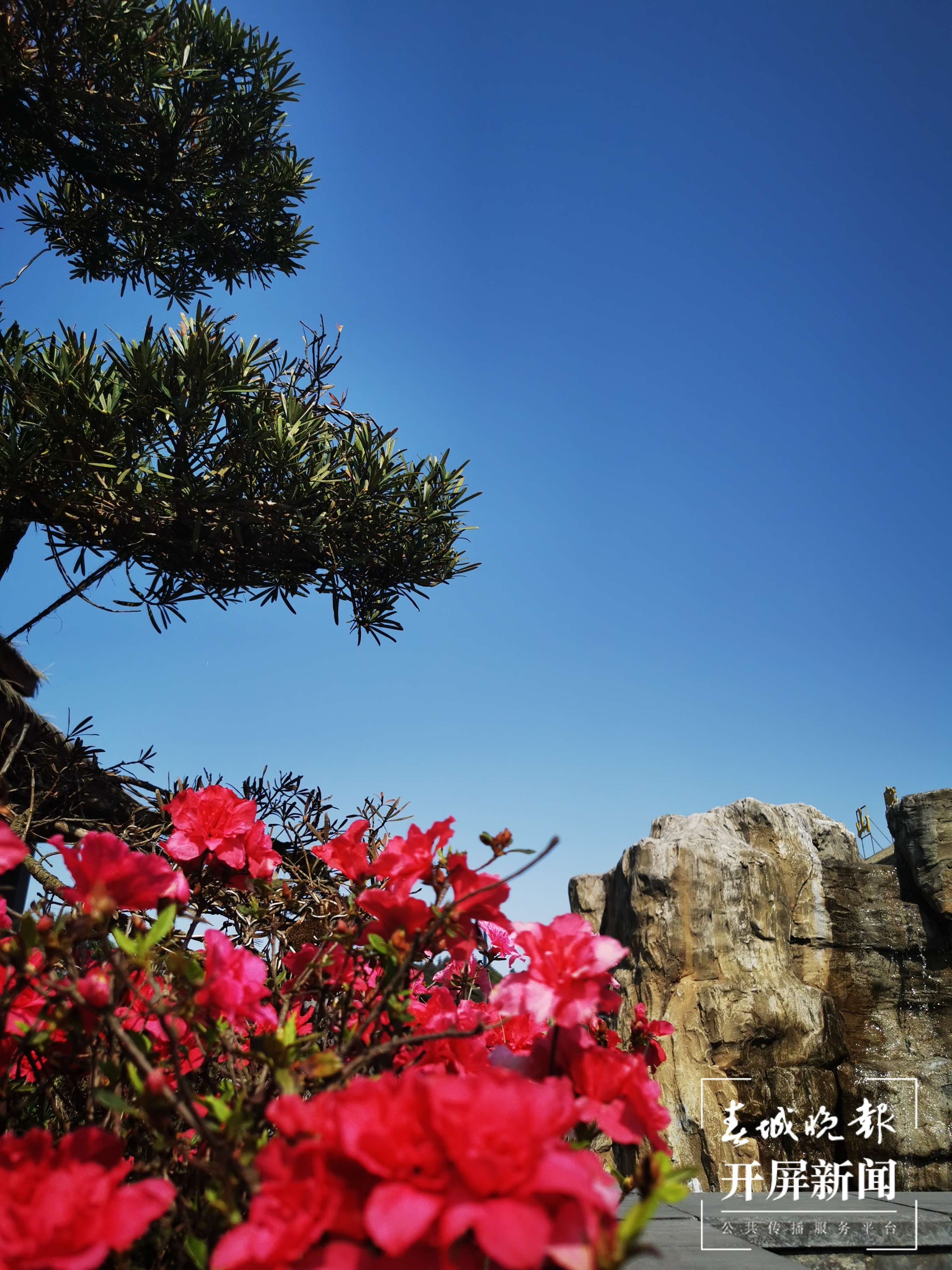 美食美景已备好，昭通彝良小草坝邀你来“游山玩水”（开屏新闻记者 申时勋 通讯员 夏荣香 摄）