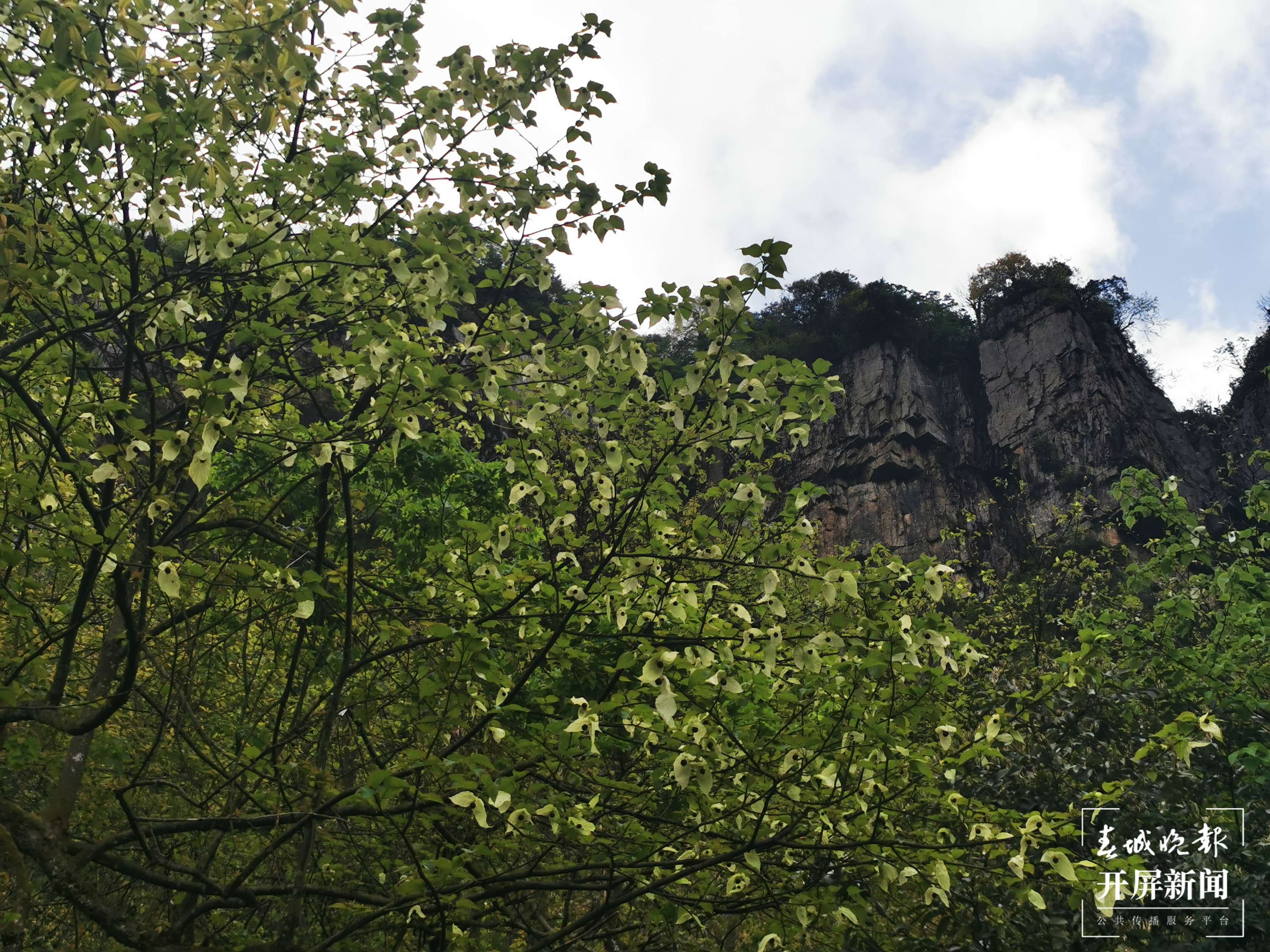 美食美景已备好，昭通彝良小草坝邀你来“游山玩水”（开屏新闻记者 申时勋 通讯员 夏荣香 摄）
