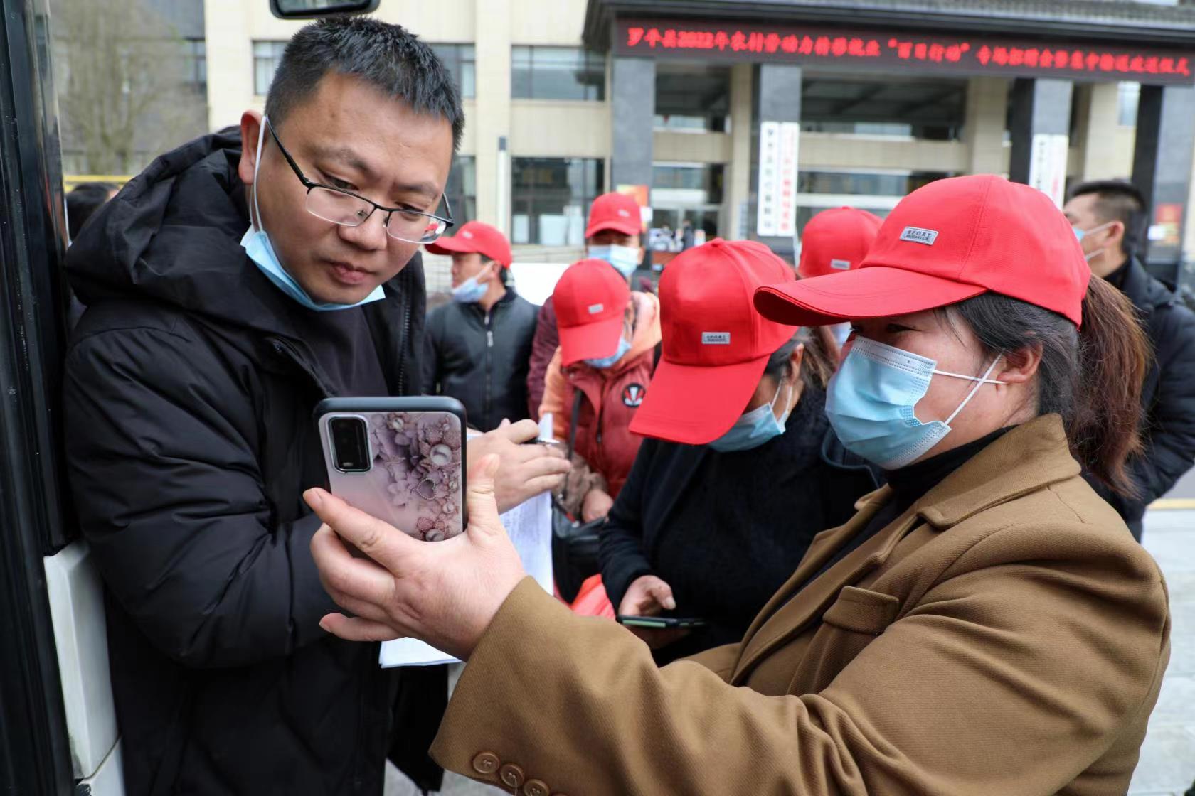 【云报全媒体走进曲靖】罗平县：“红引擎”赋能振兴路