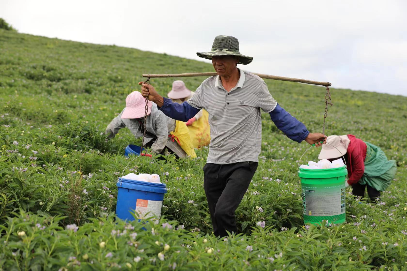 【云报全媒体走进曲靖】陆良县：“联谊+”携手并进促跨越